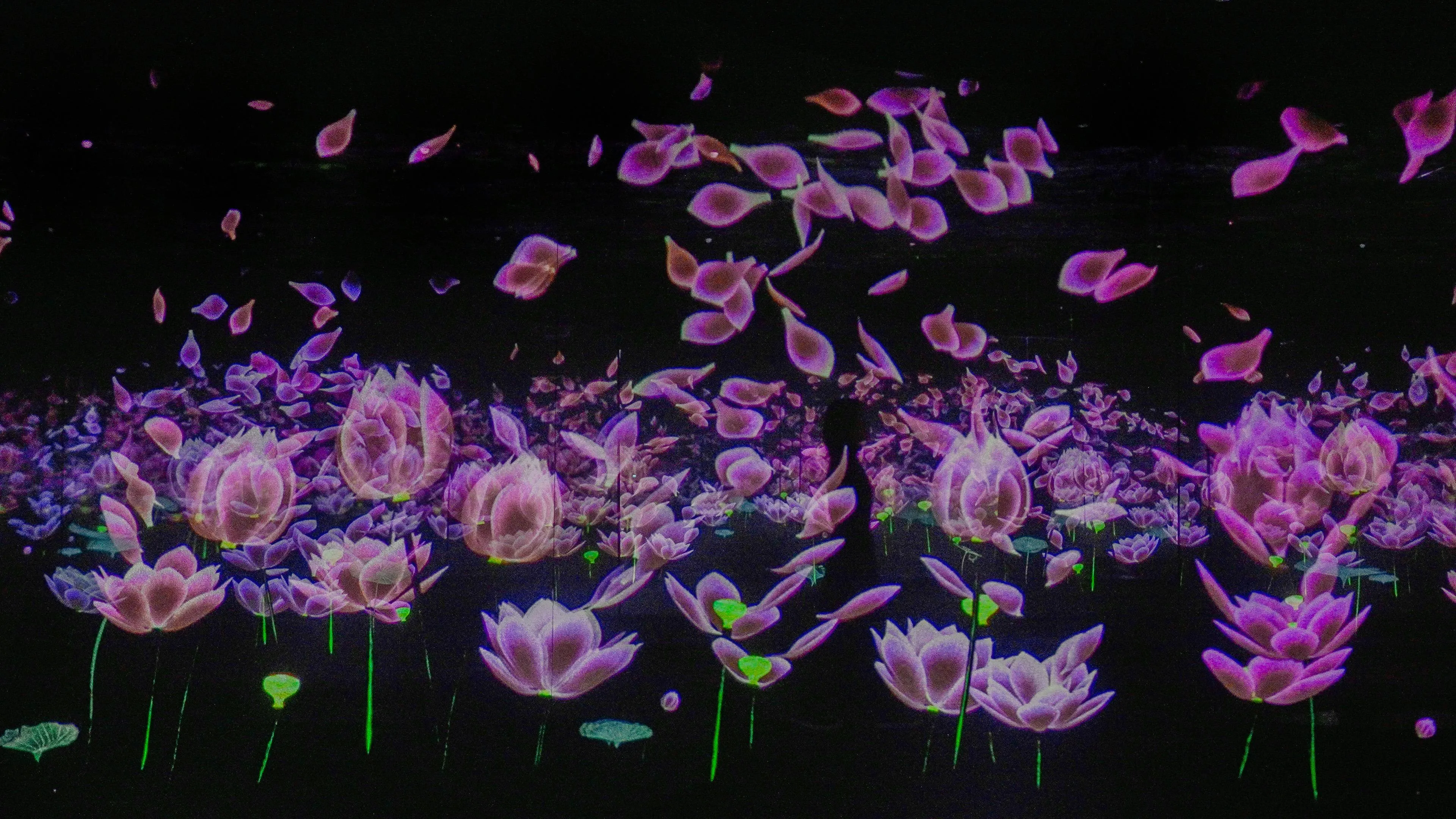 teamLab Borderless Jeddah | teamLab