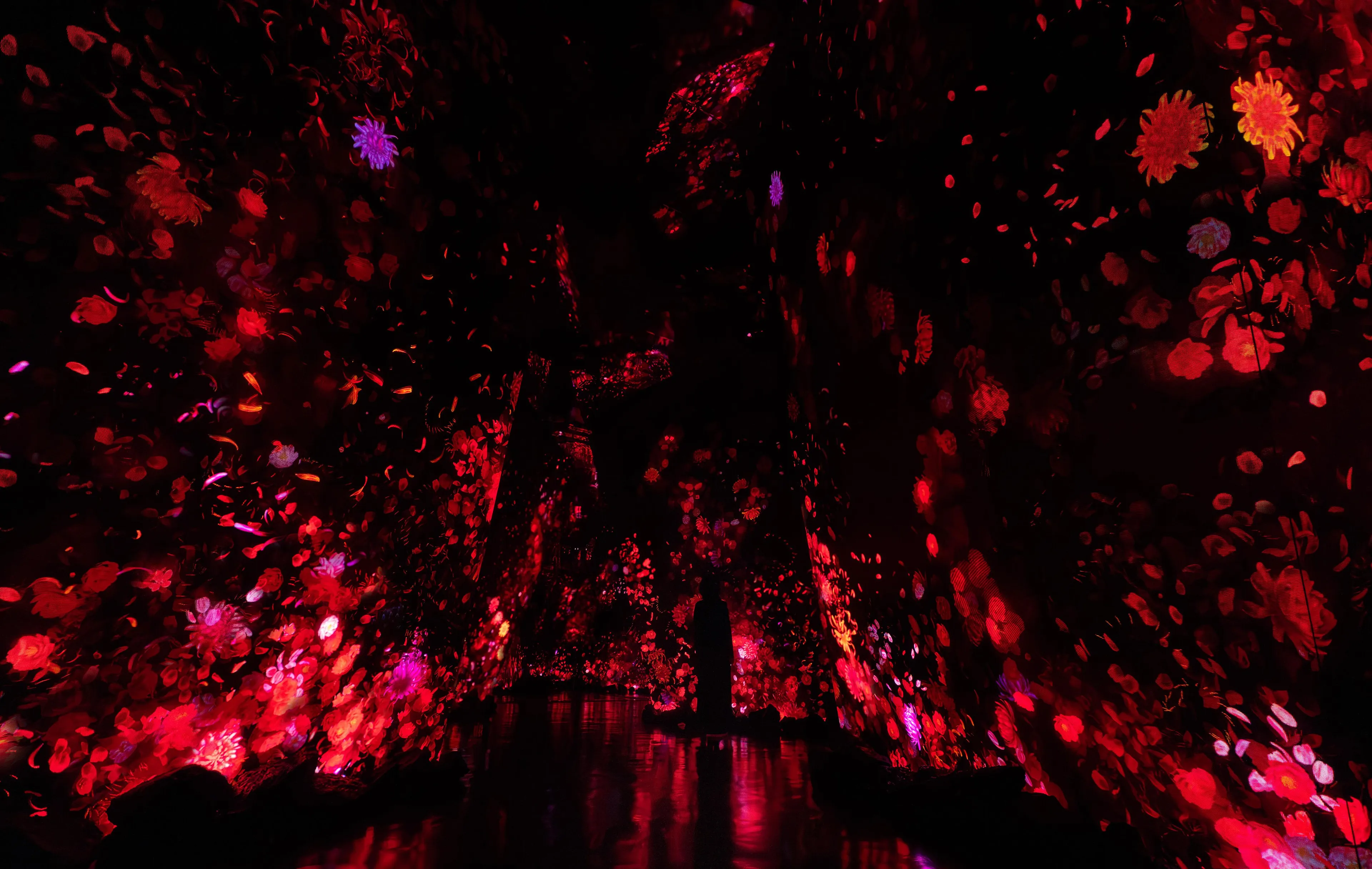 teamLab Borderless Jeddah | teamLab