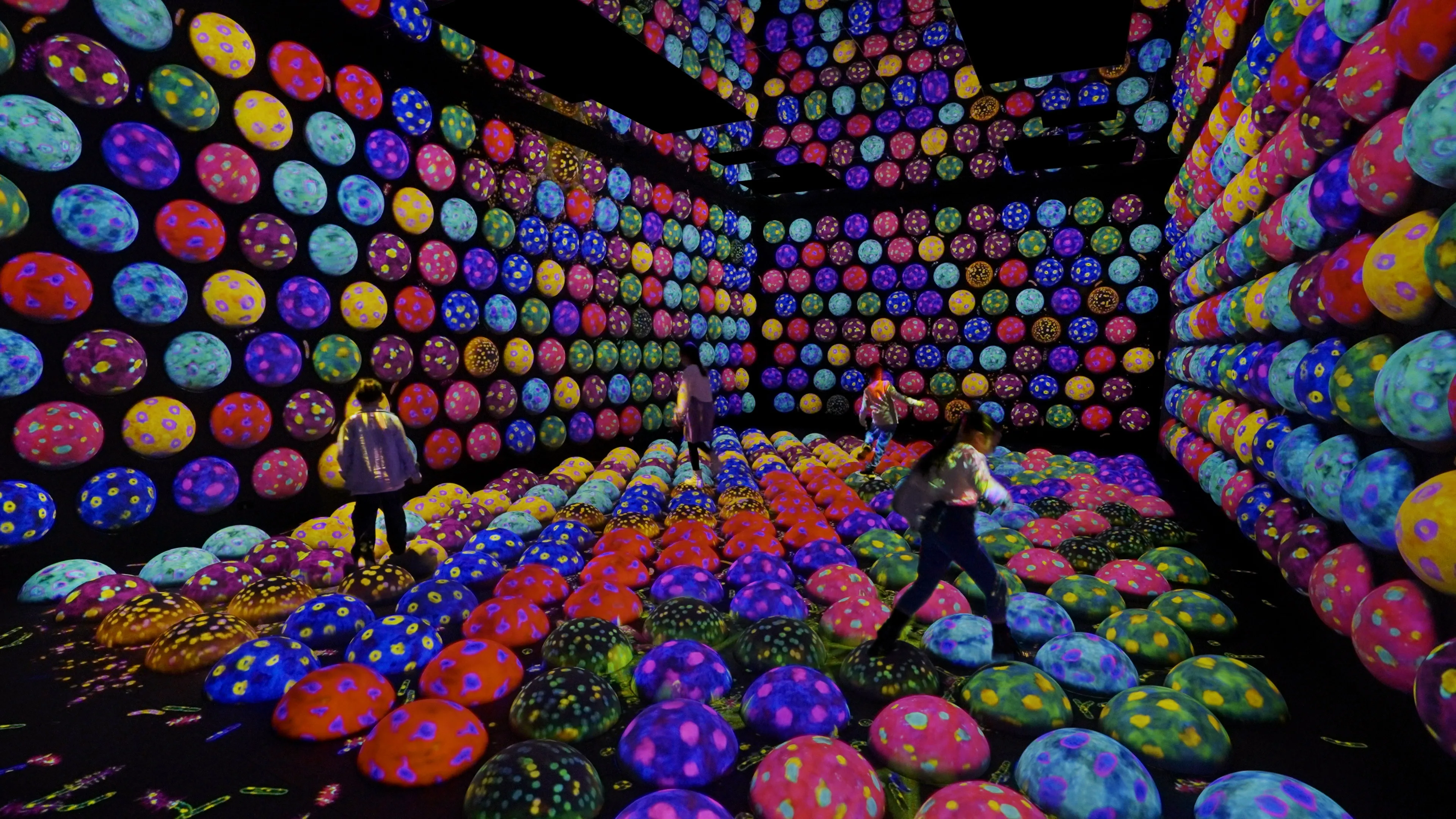 [官方] teamLab Planets TOKYO, 丰洲, 东京