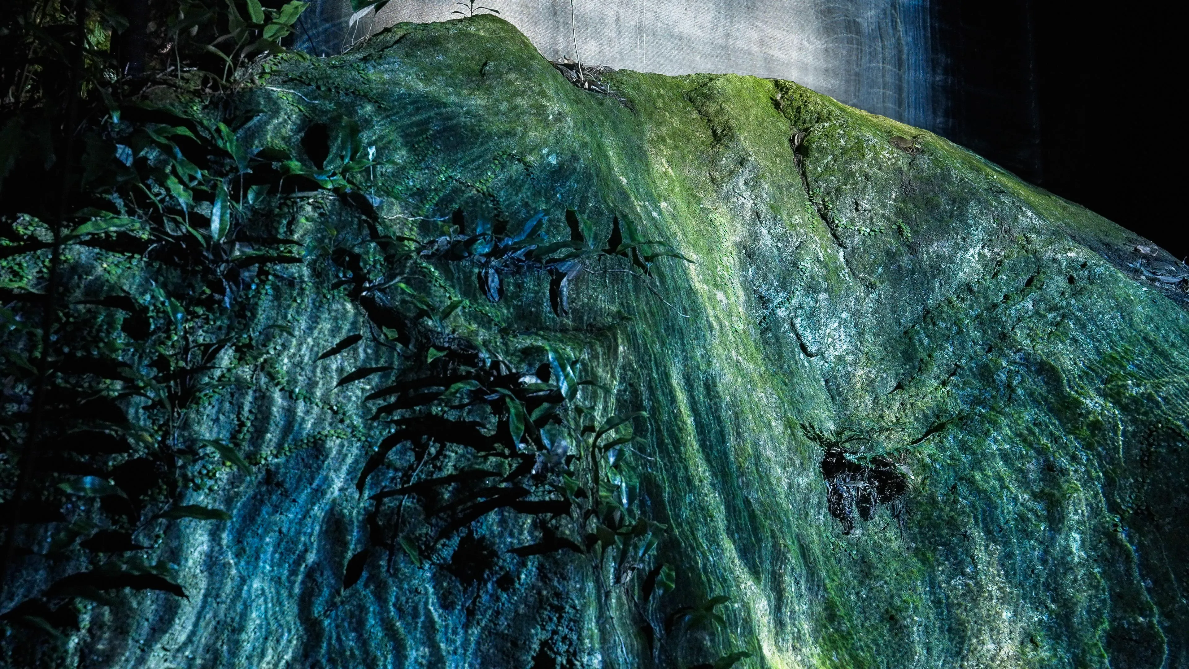 在神明所居住的岩石上呈现水粒子世界 / Universe of Water Particles on a Sacred Rock | teamLab
