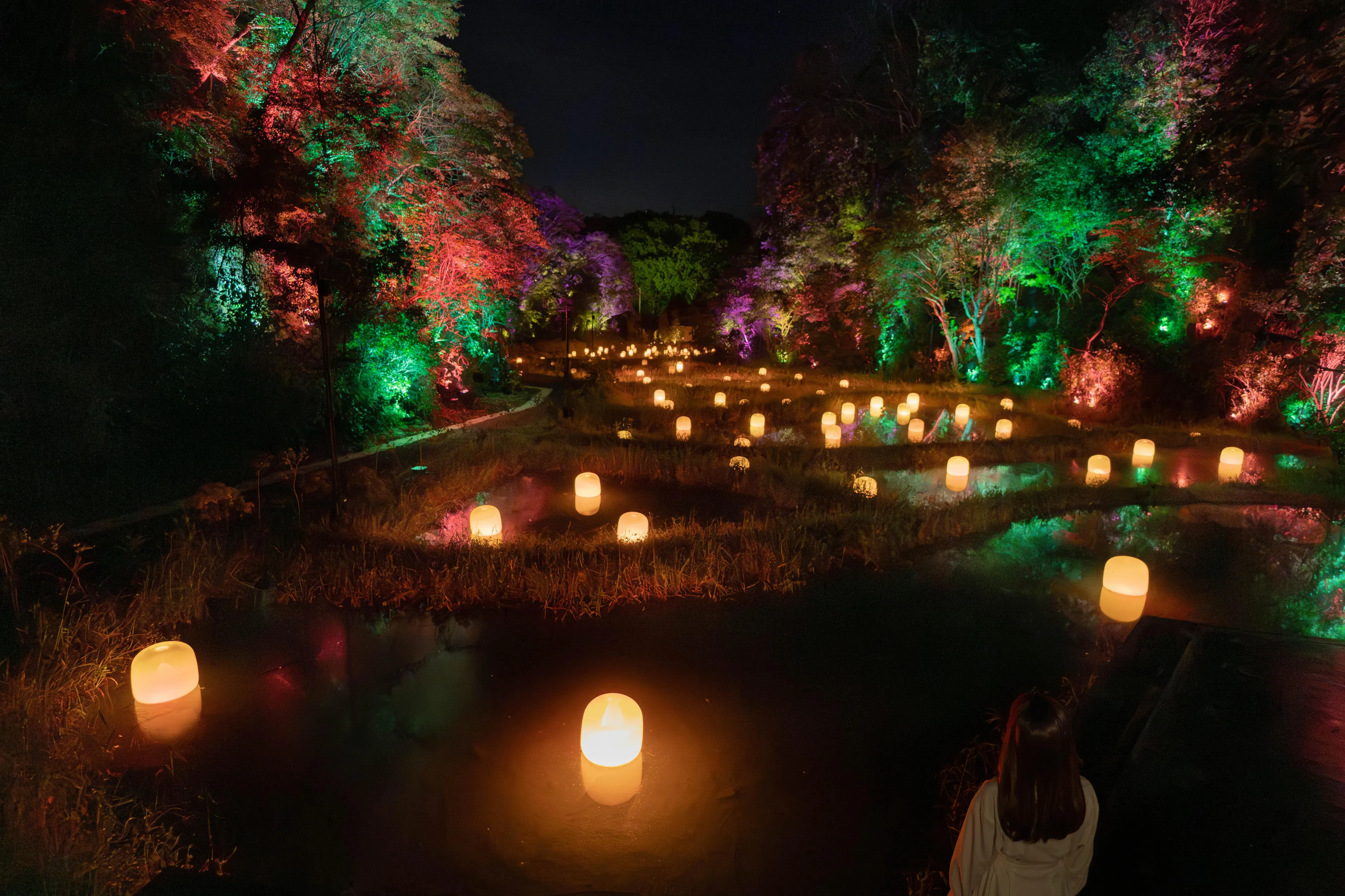 Hidden Traces of Rice Terraces | teamLab