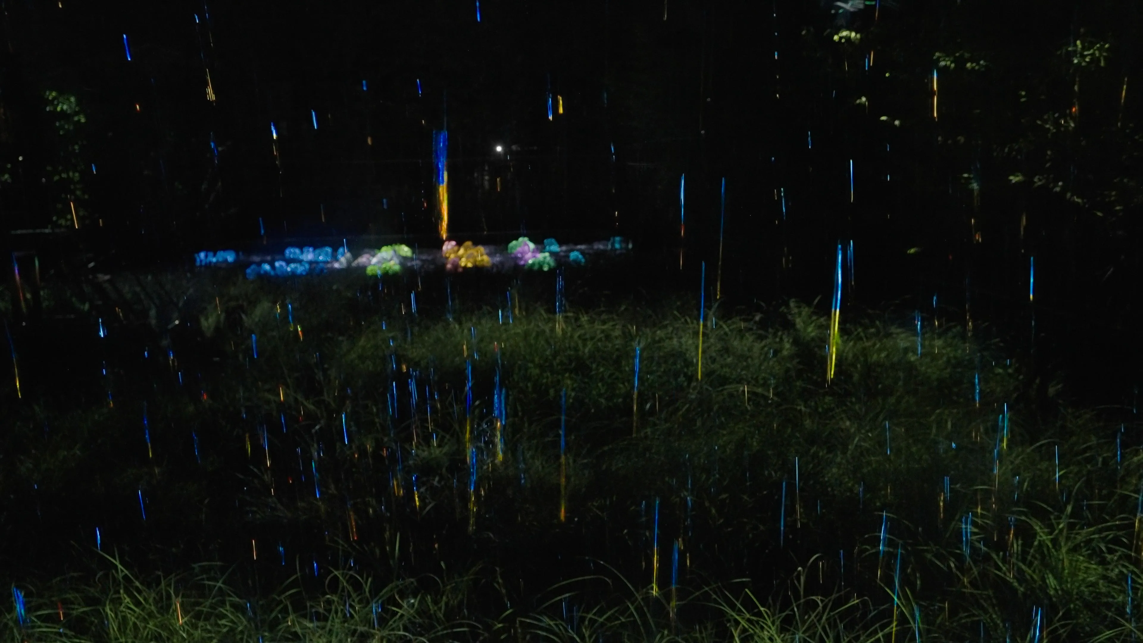 teamLab: Field of Wind, Rain and Sun | teamLab
