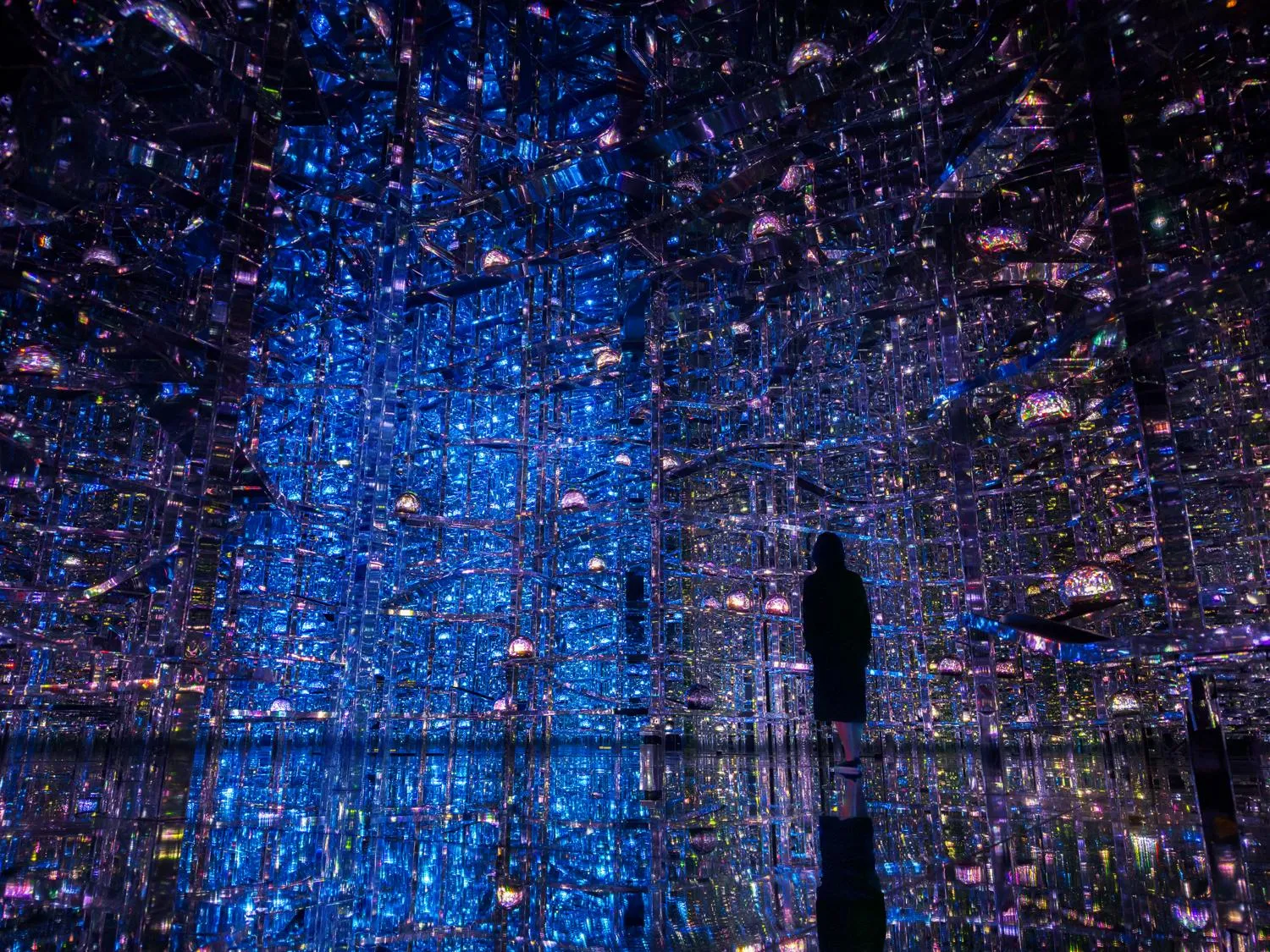 Microcosmoses: Wobbling Light and Environmental Light | teamLab