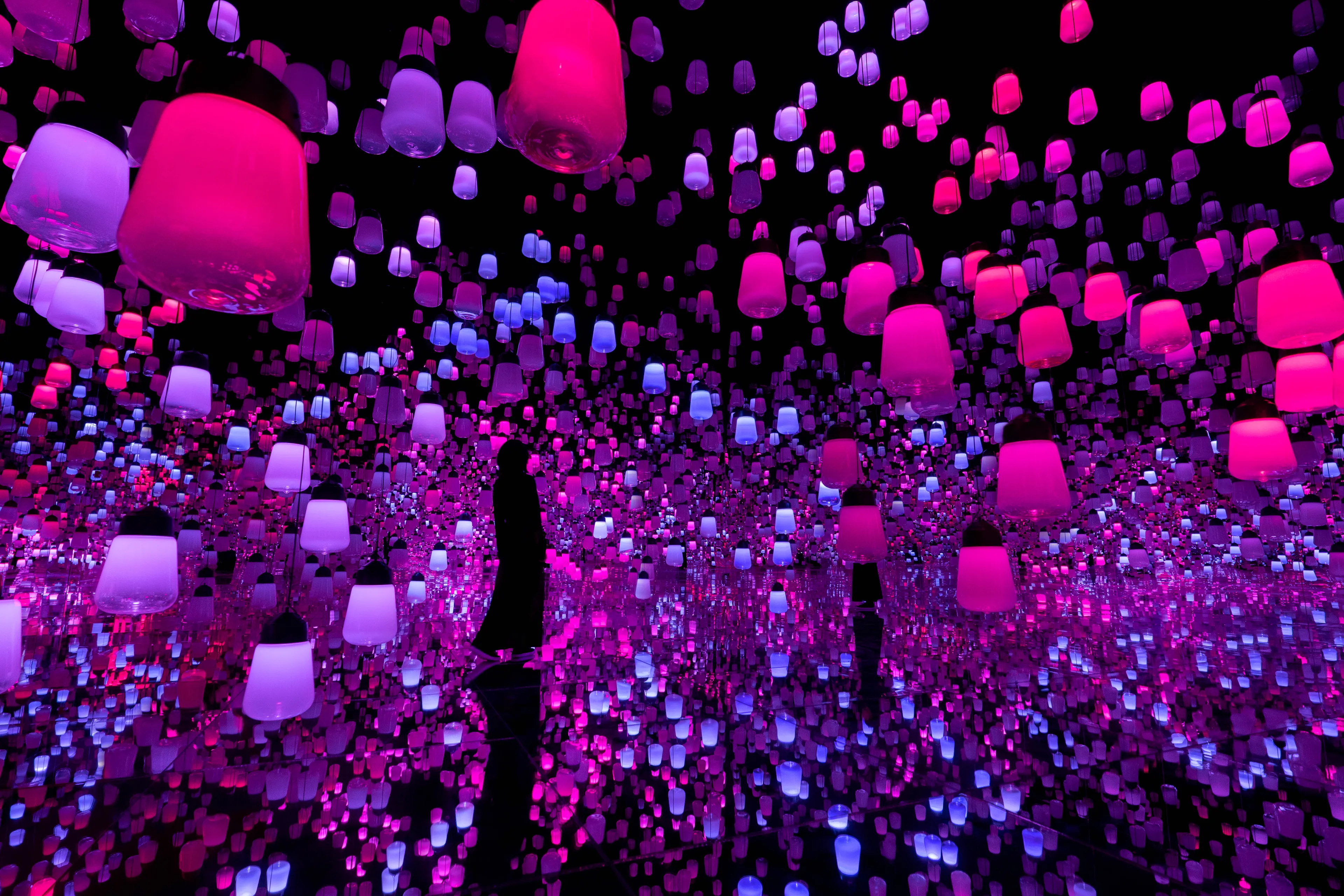 Forest of Resonating Lamps: One Stroke - Summer Flowers | teamLab