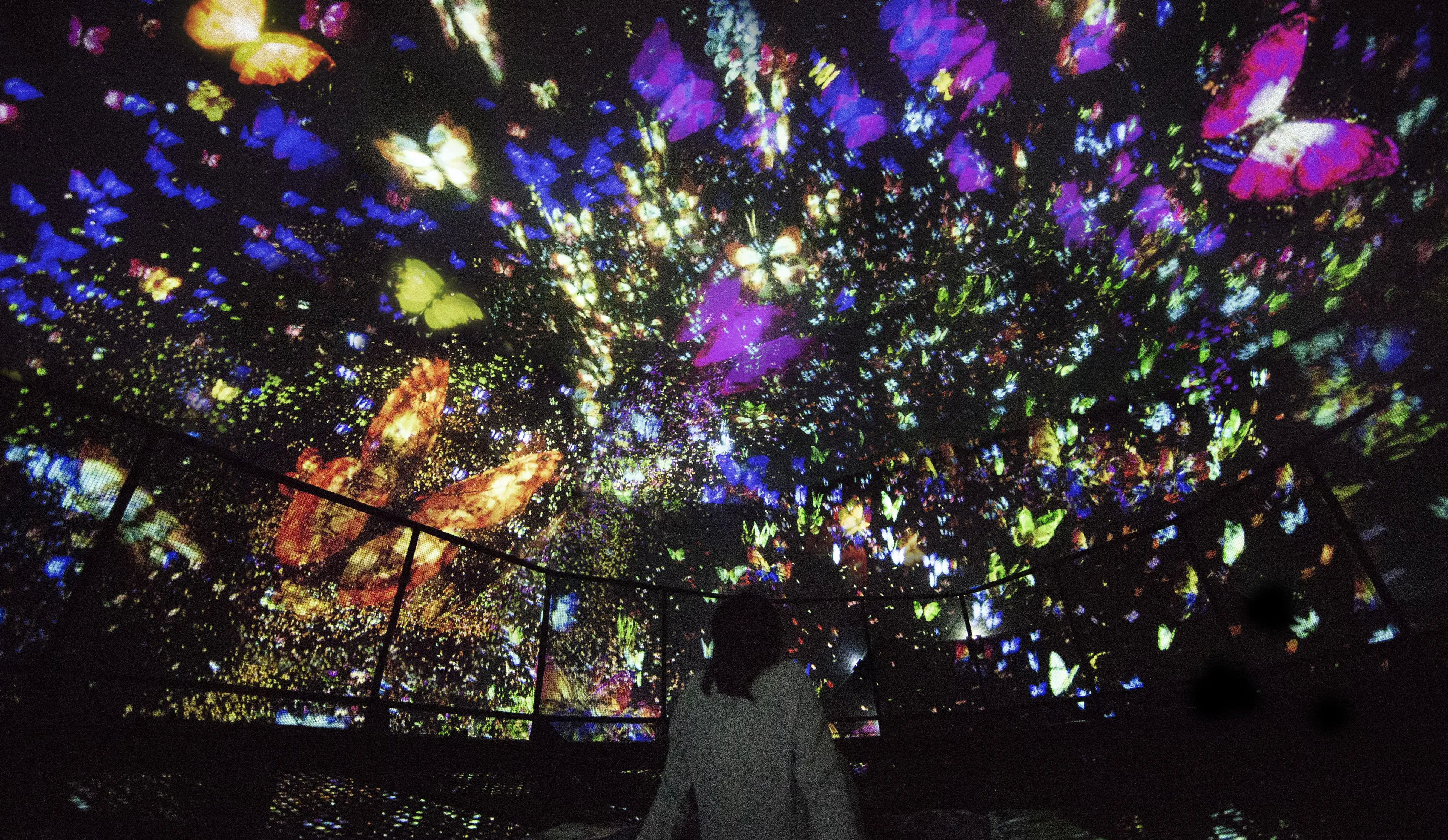 Flutter of Butterflies Beyond Borders, Transcending Space - Floating ...