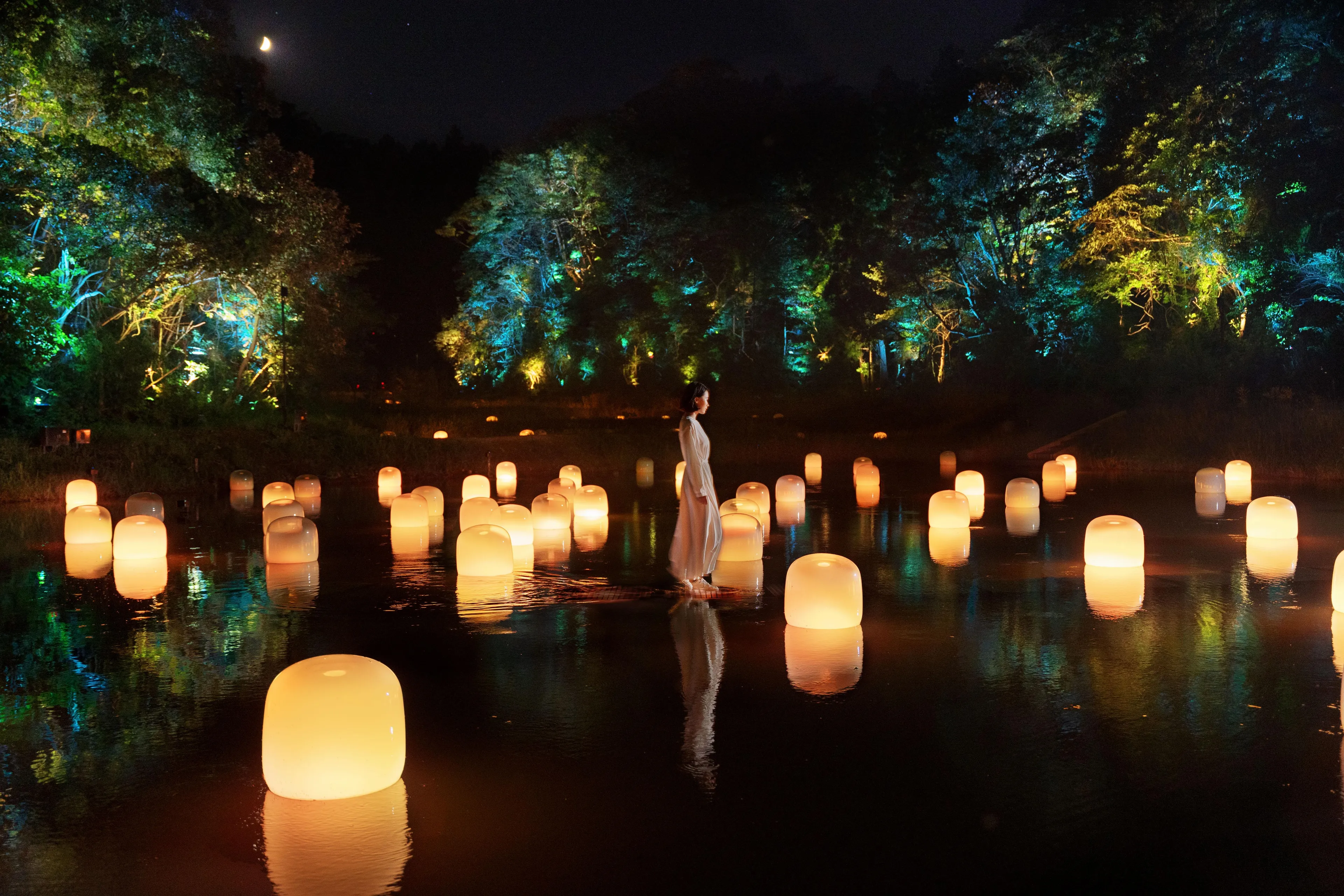 Water Mirror Path through the Hidden Rice Terraces | teamLab
