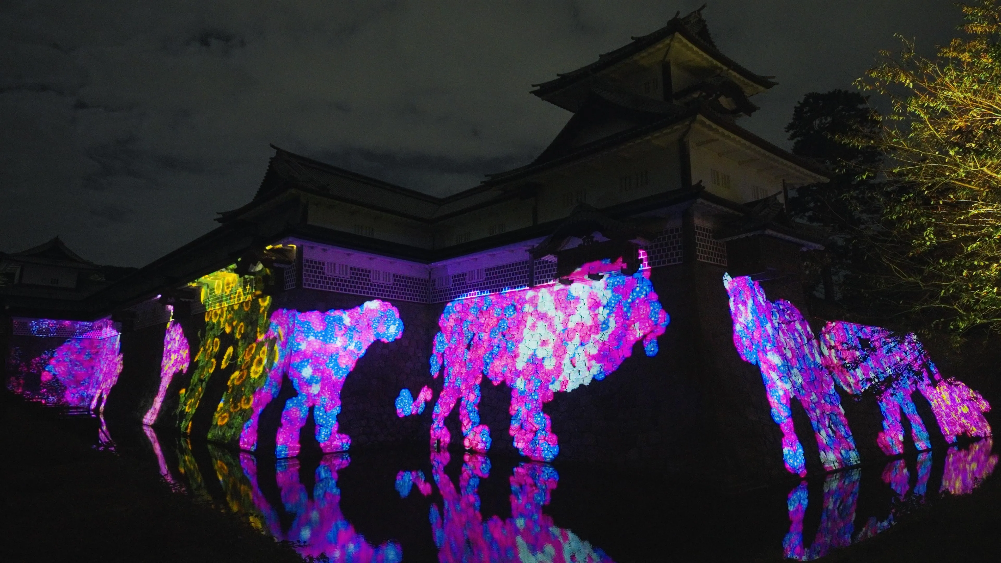 Animals of Flowers, Symbiotic Lives in the Stone Wall - Kanazawa Castle ...