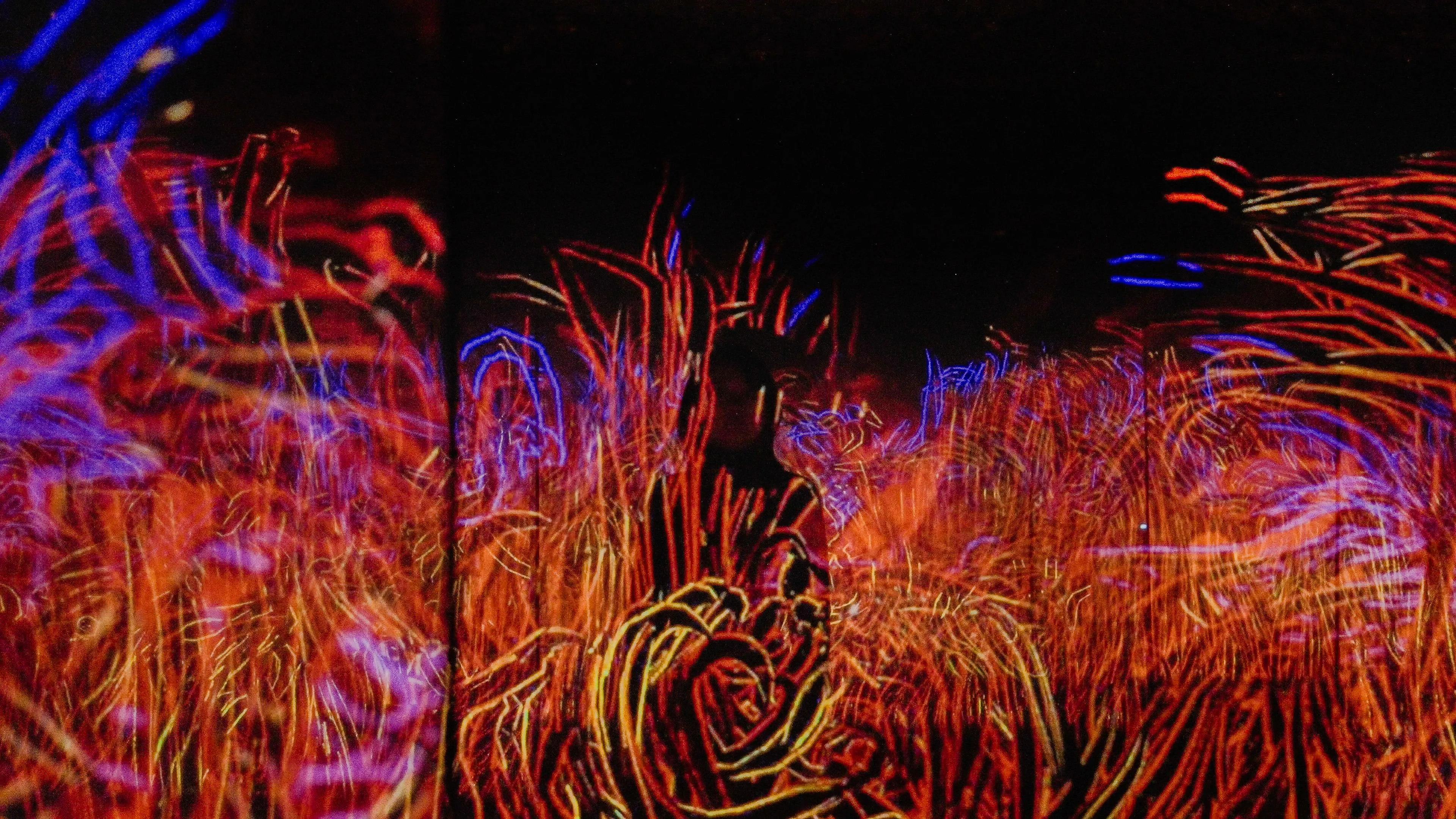 FEATURED | teamLab