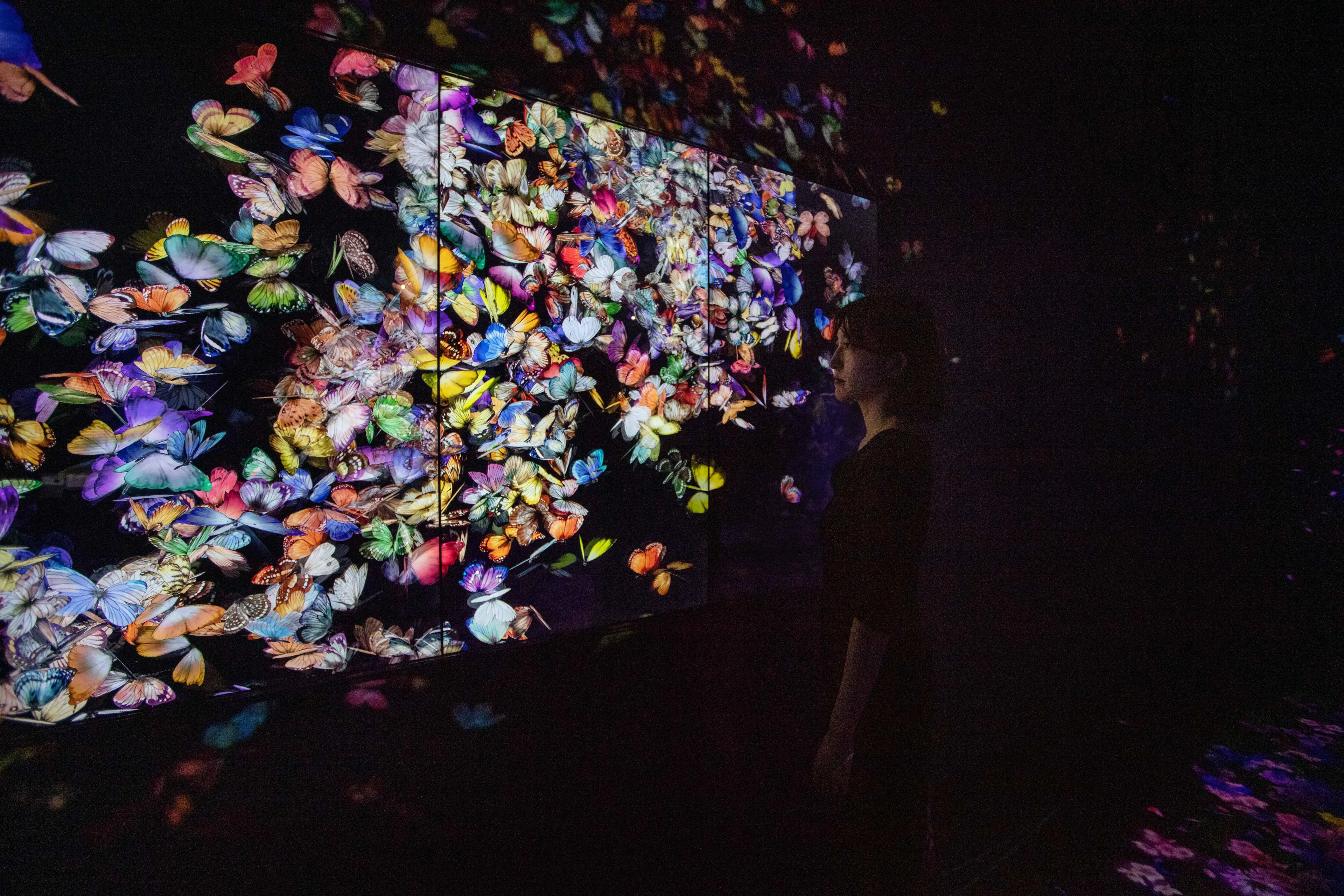空洞 / The Void | teamLab
