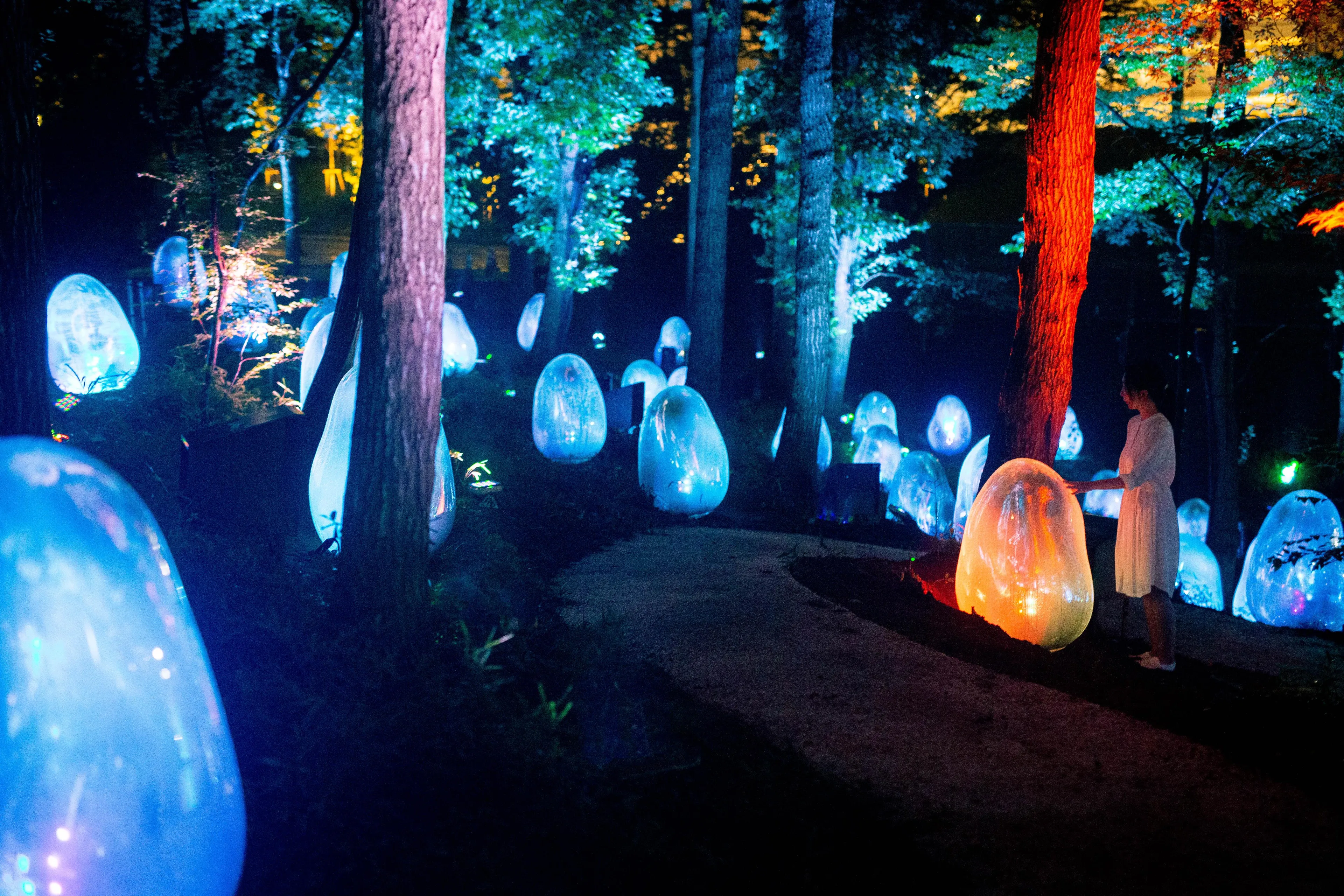 呼应之树 / Resonating Trees | teamLab