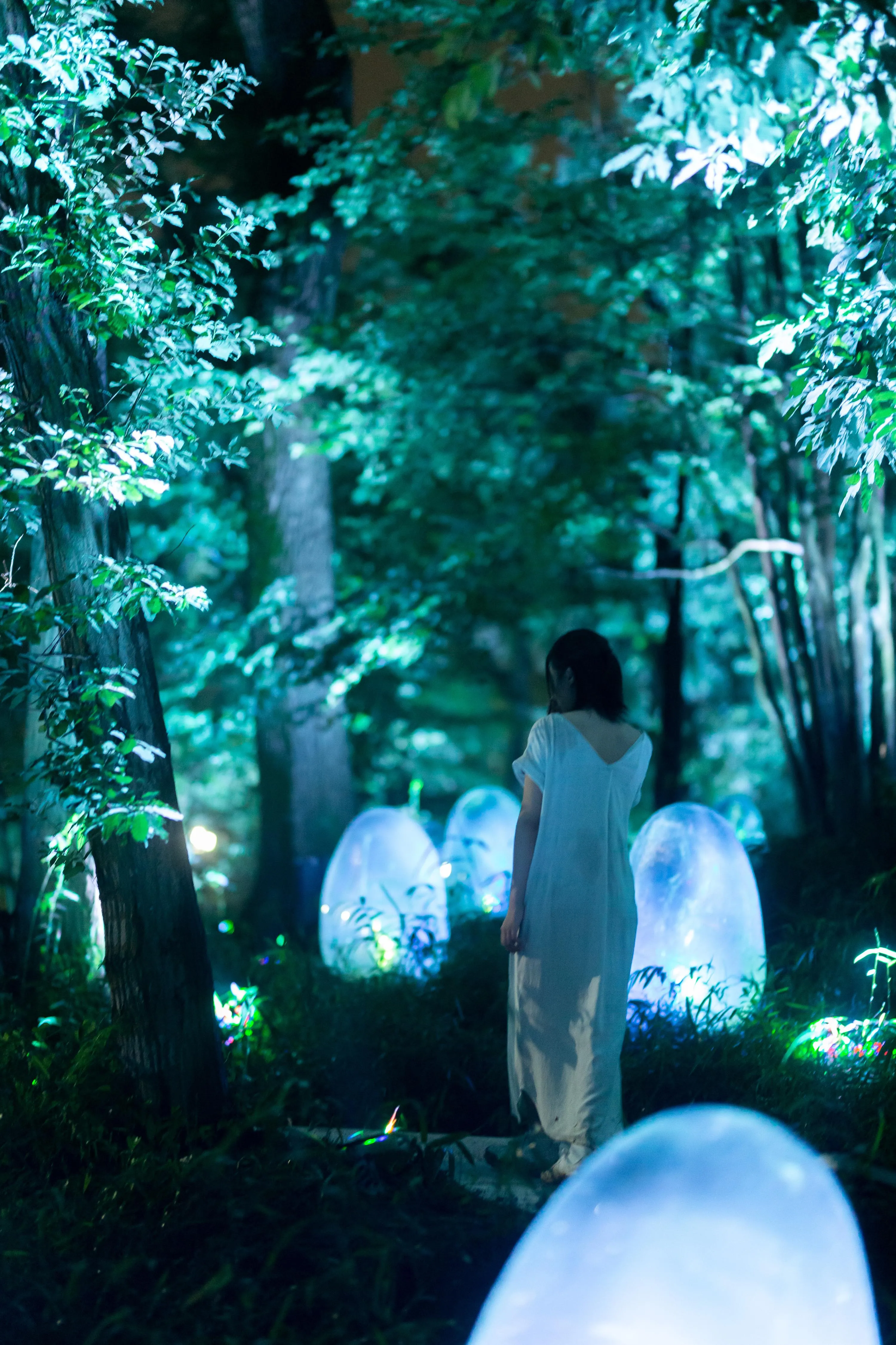 呼应之树 / Resonating Trees | teamLab