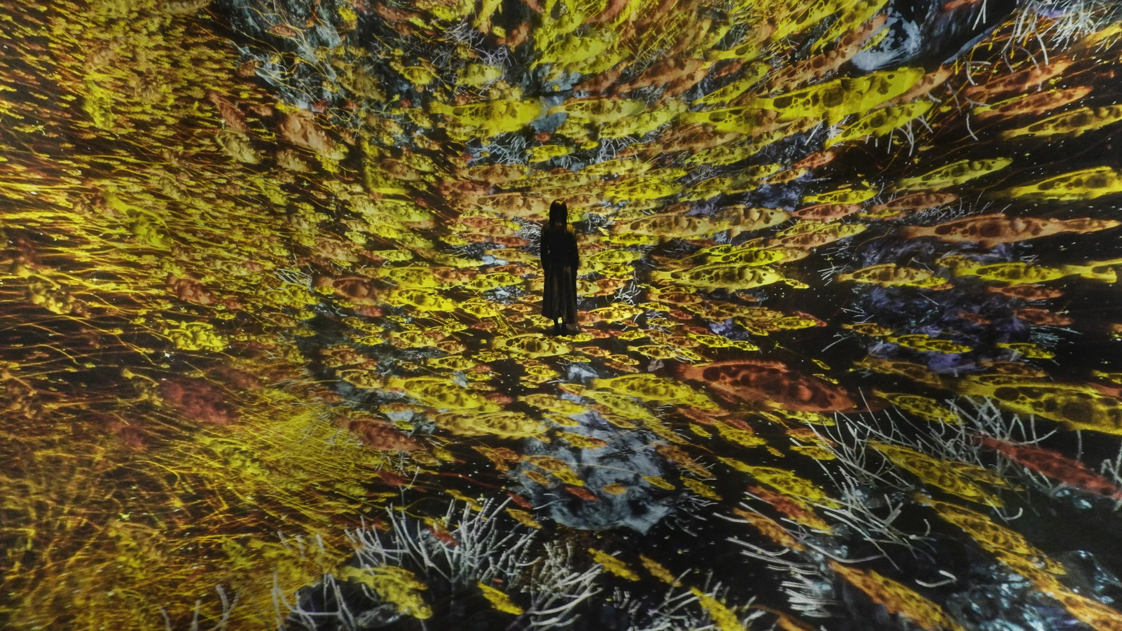 The Way of the Sea: Cosmic Void | teamLab