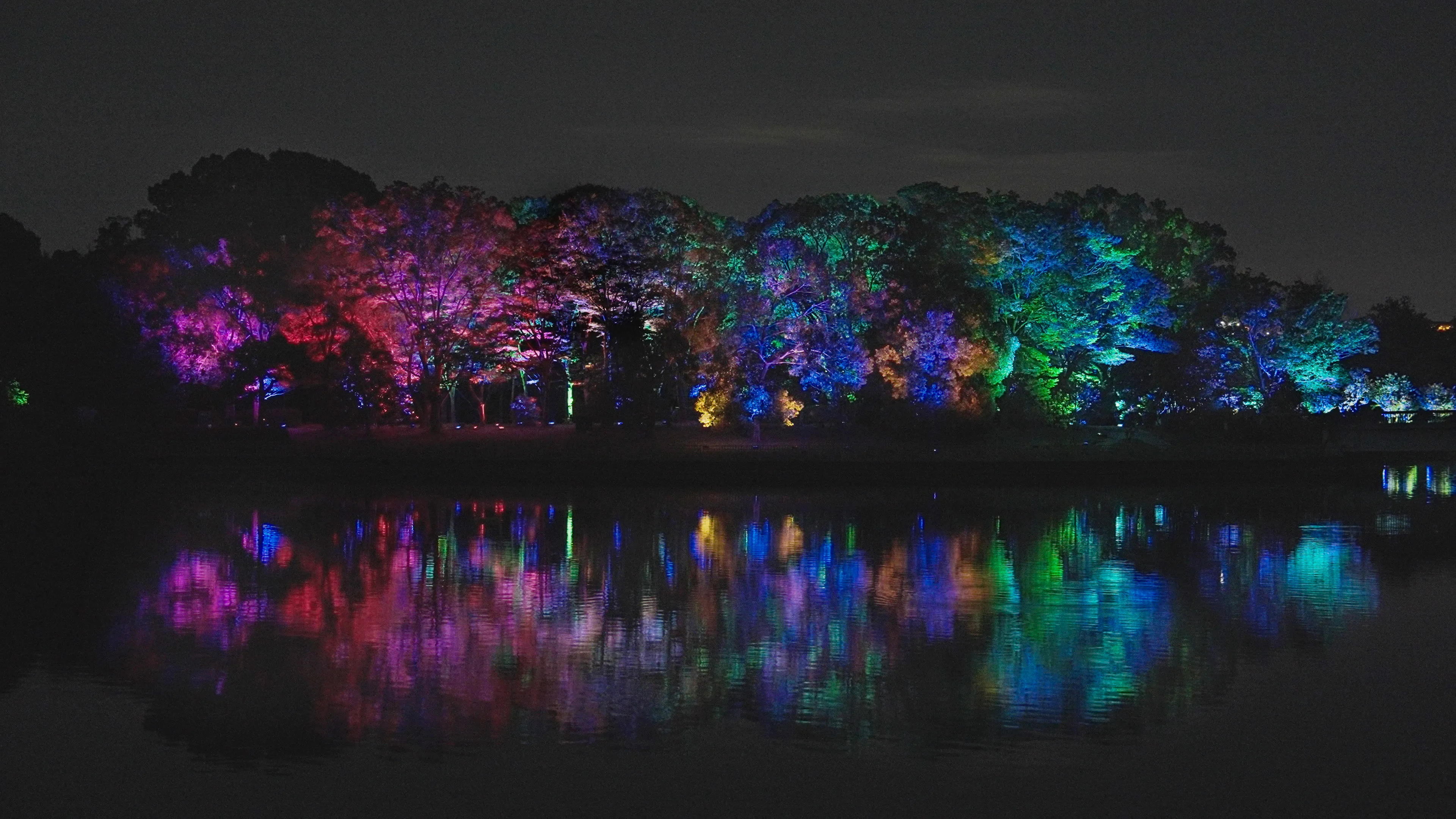 Resonating Trees | teamLab