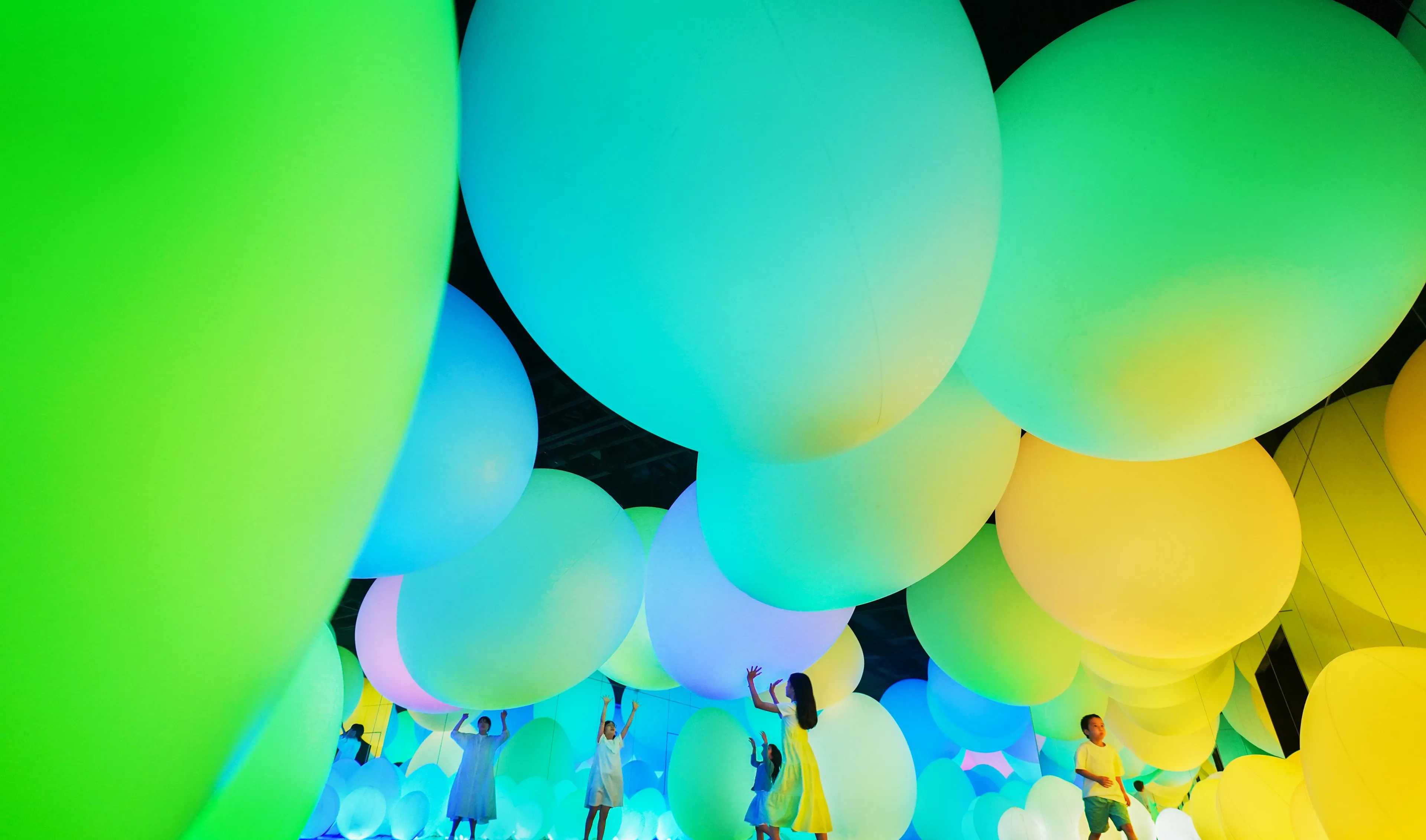 呼応する生命の森 / Forest of Resonating Life | teamLab / チームラボ
