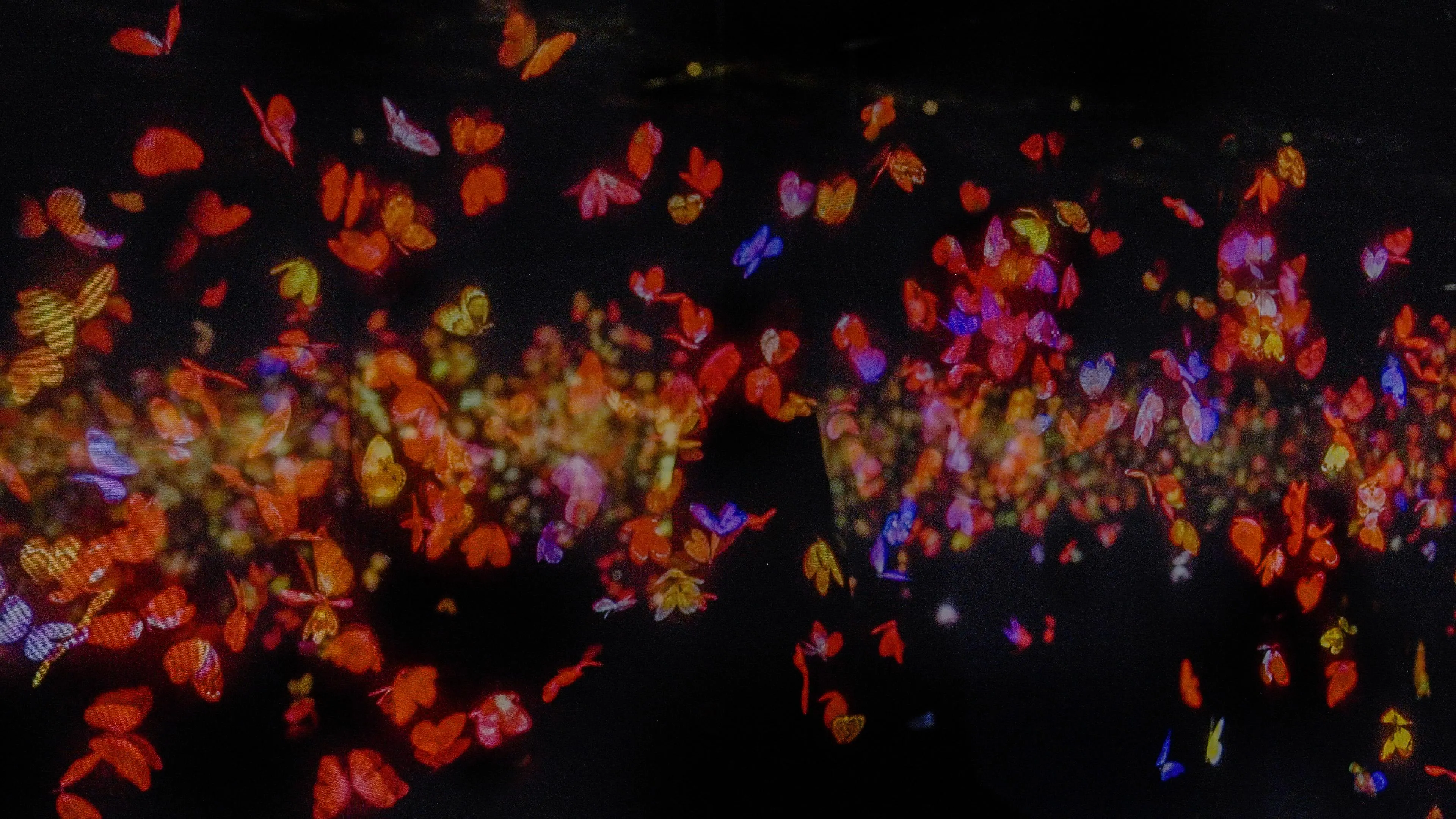 teamLab Borderless Jeddah | teamLab