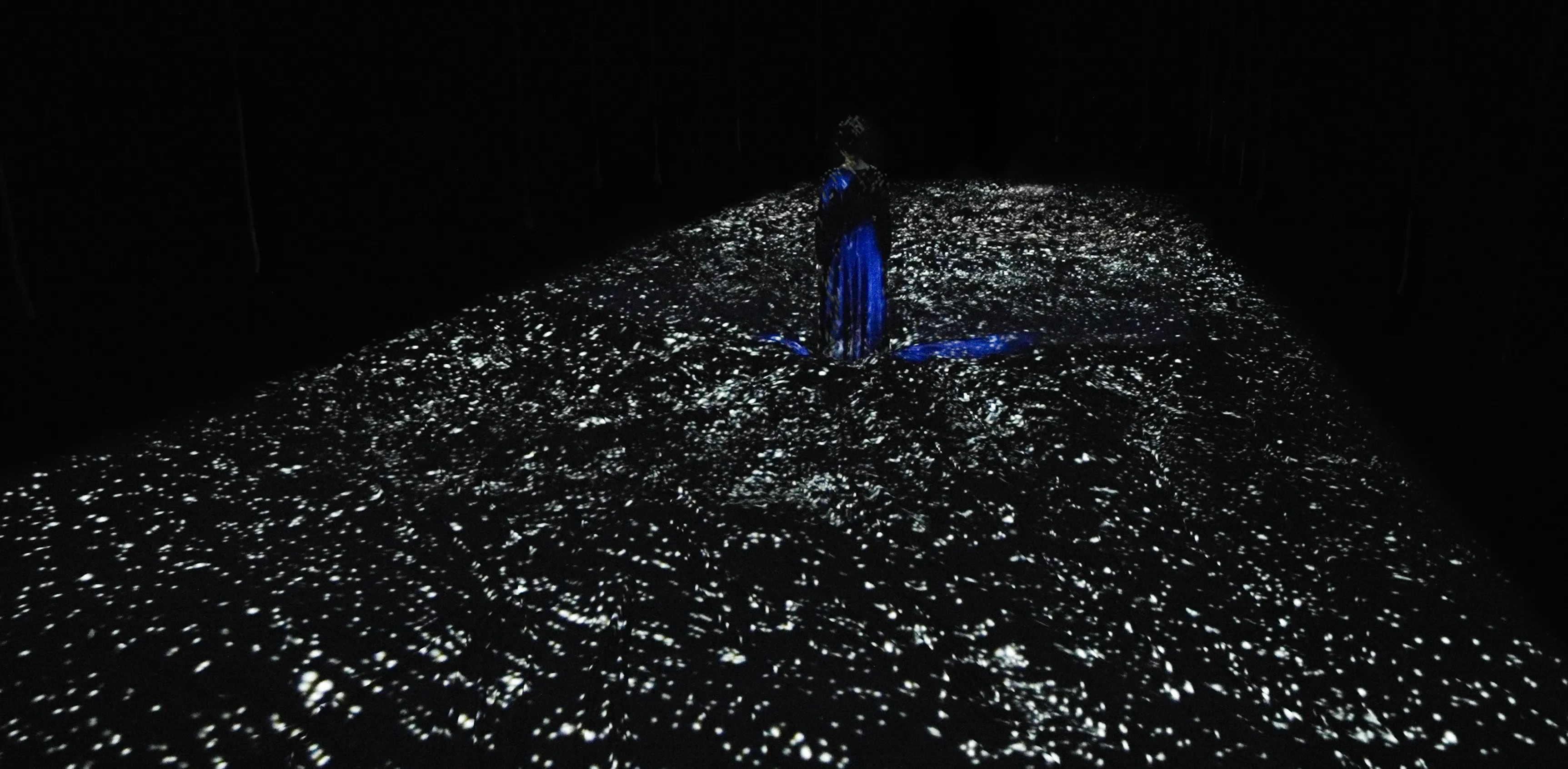 Body of Waves | teamLab