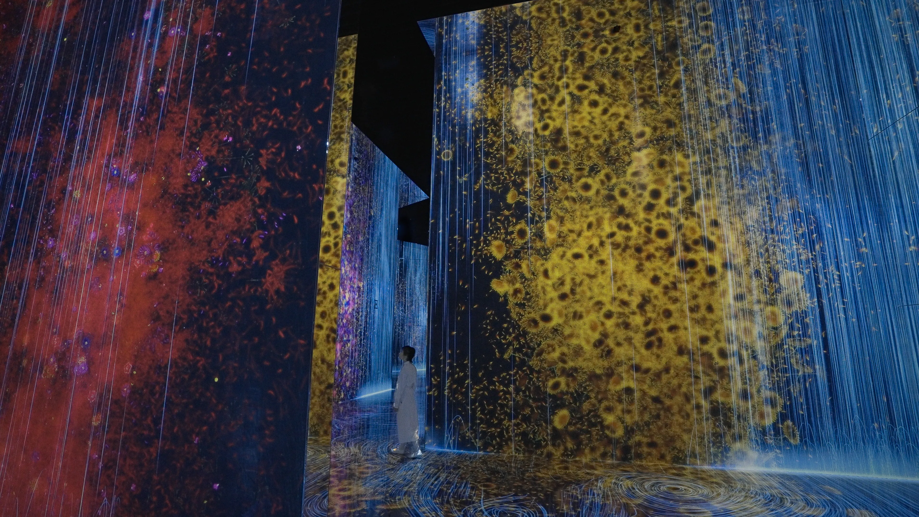 Universe of Water Particles | teamLab