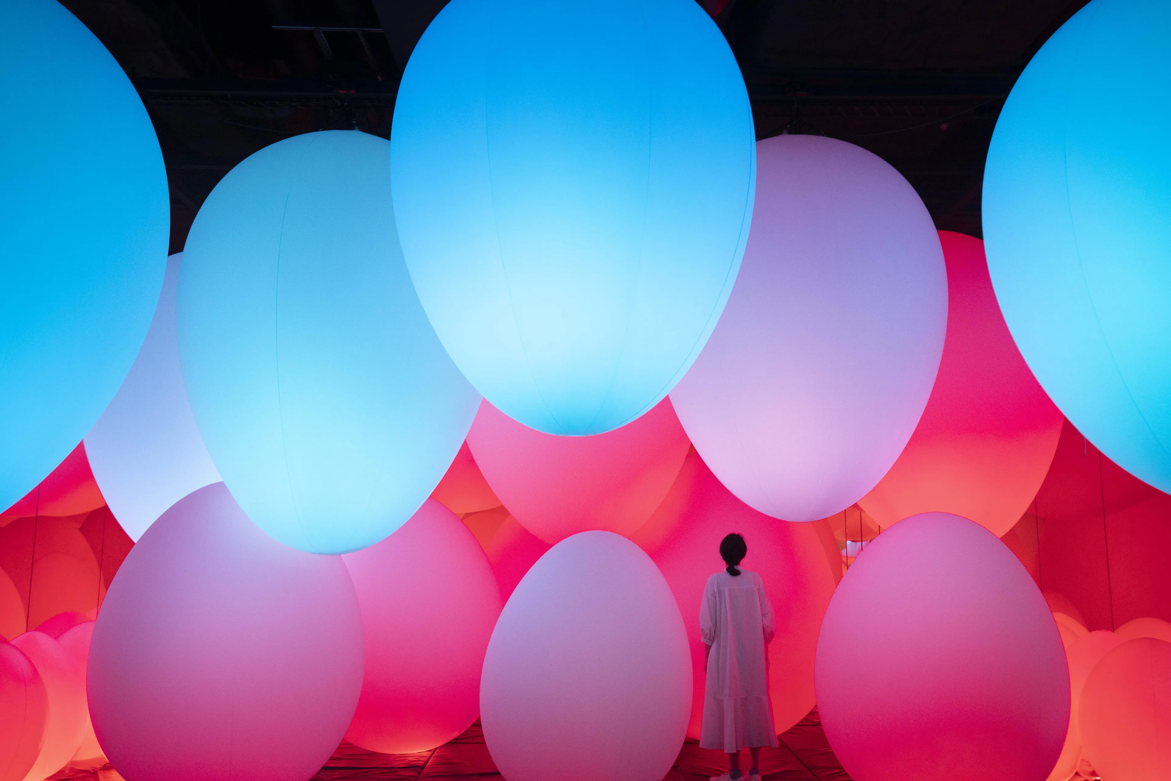 呼応する生命の森 / Forest of Resonating Life | teamLab / チームラボ