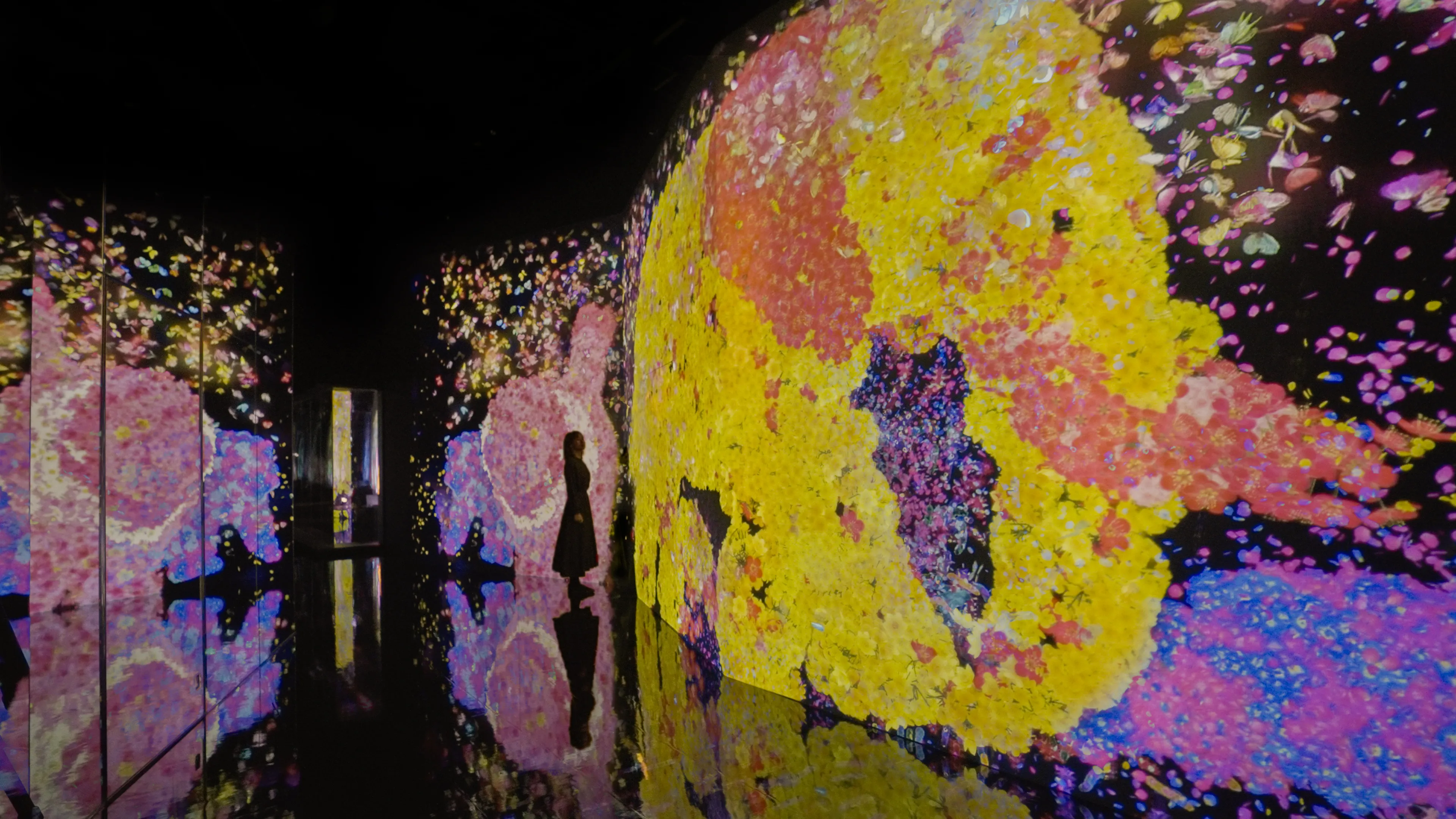 Animals of Flowers, Symbiotic Lives - A Whole Year per Year | teamLab