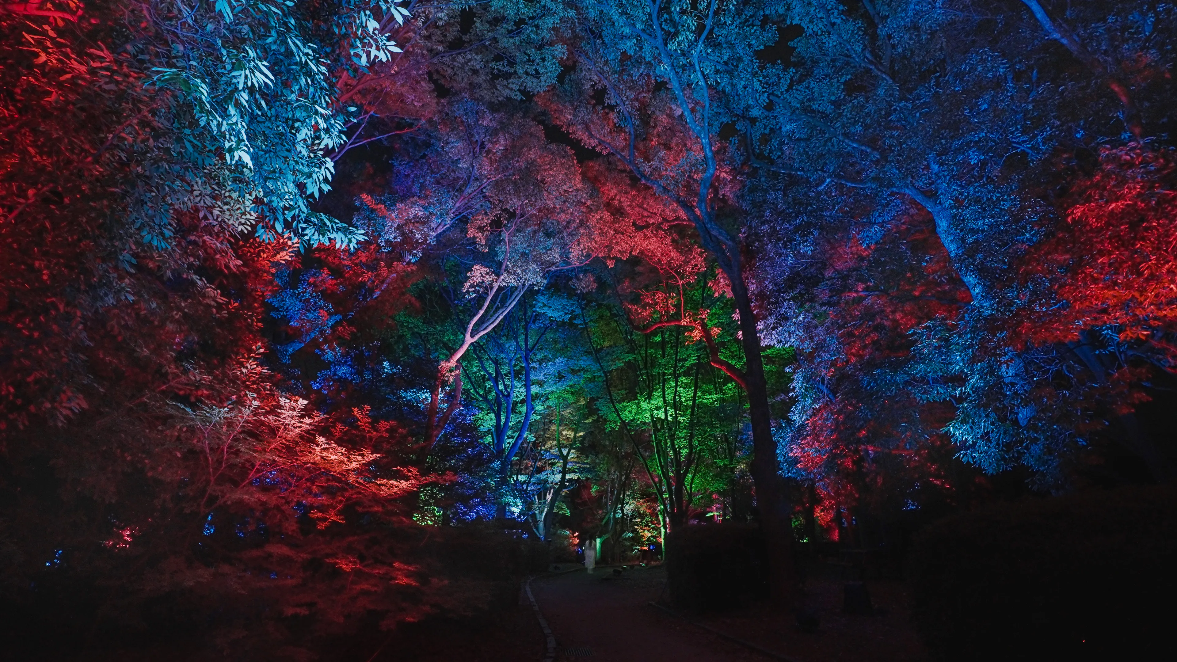 呼応する木々 - 欅と楠 / Resonating Trees - Zelkova and Camphor tree | teamLab ...