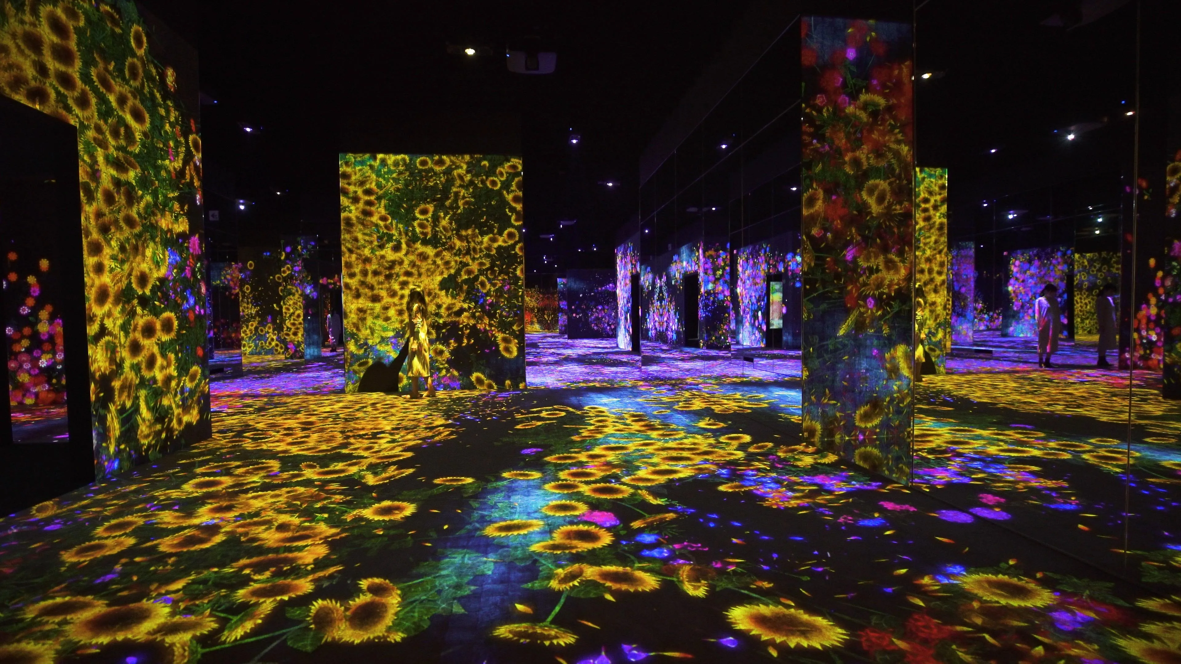 teamLab Borderless 东京 官方网站: 森大厦数字艺术美术馆：teamLab无界（MORI Building DIGITAL ...