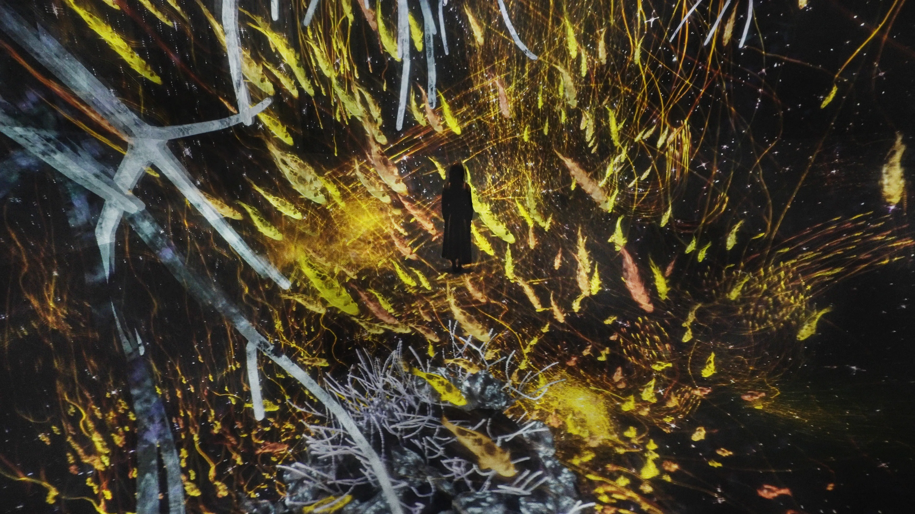 The Way of the Sea: Cosmic Void | teamLab