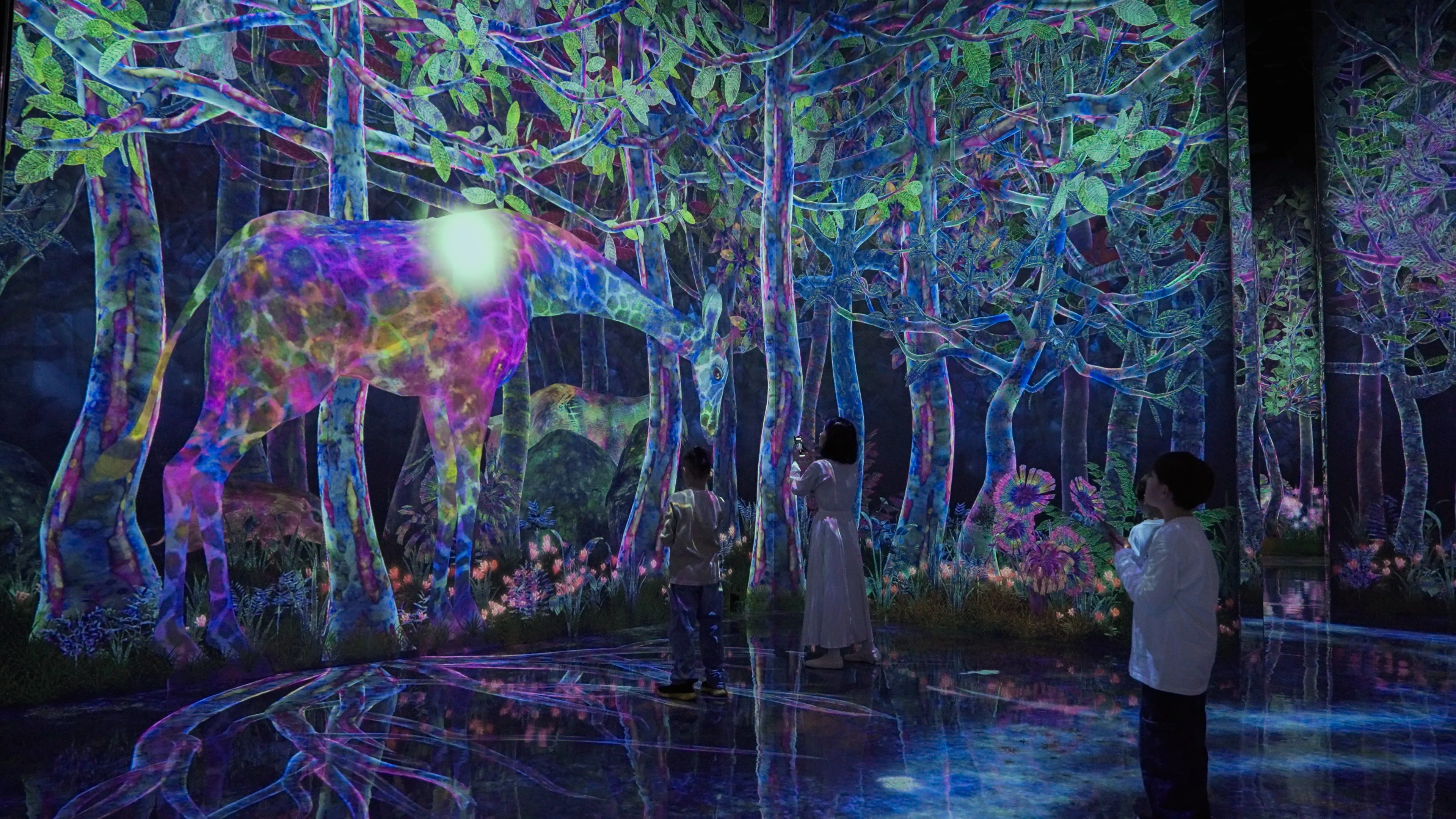 Catching and Collecting Extinct Forest | teamLab