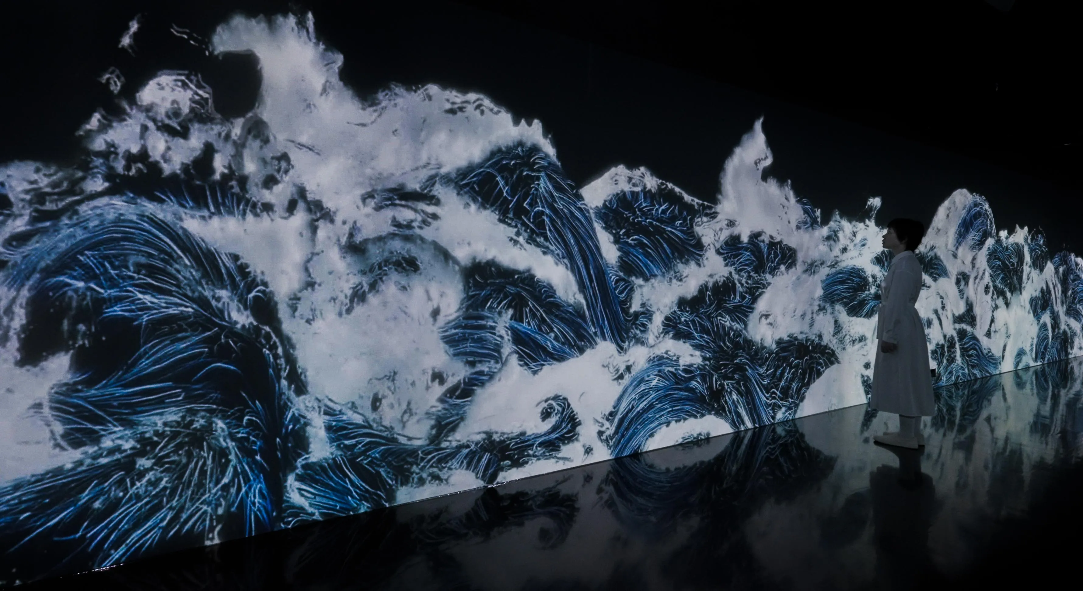 Black Waves: Flowing Beyond Borders | teamLab