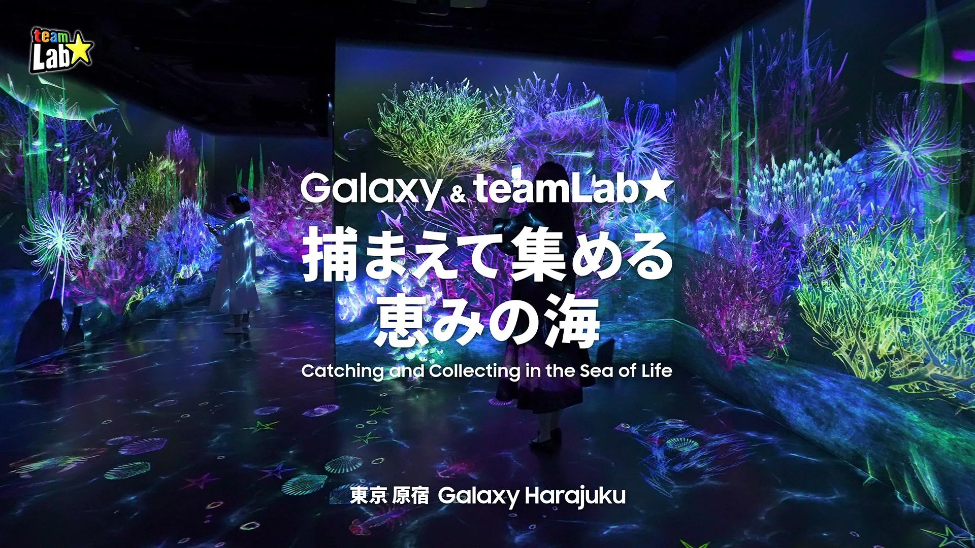 Galaxy & teamLab: Catching and Collecting in the Sea of Life | teamLab