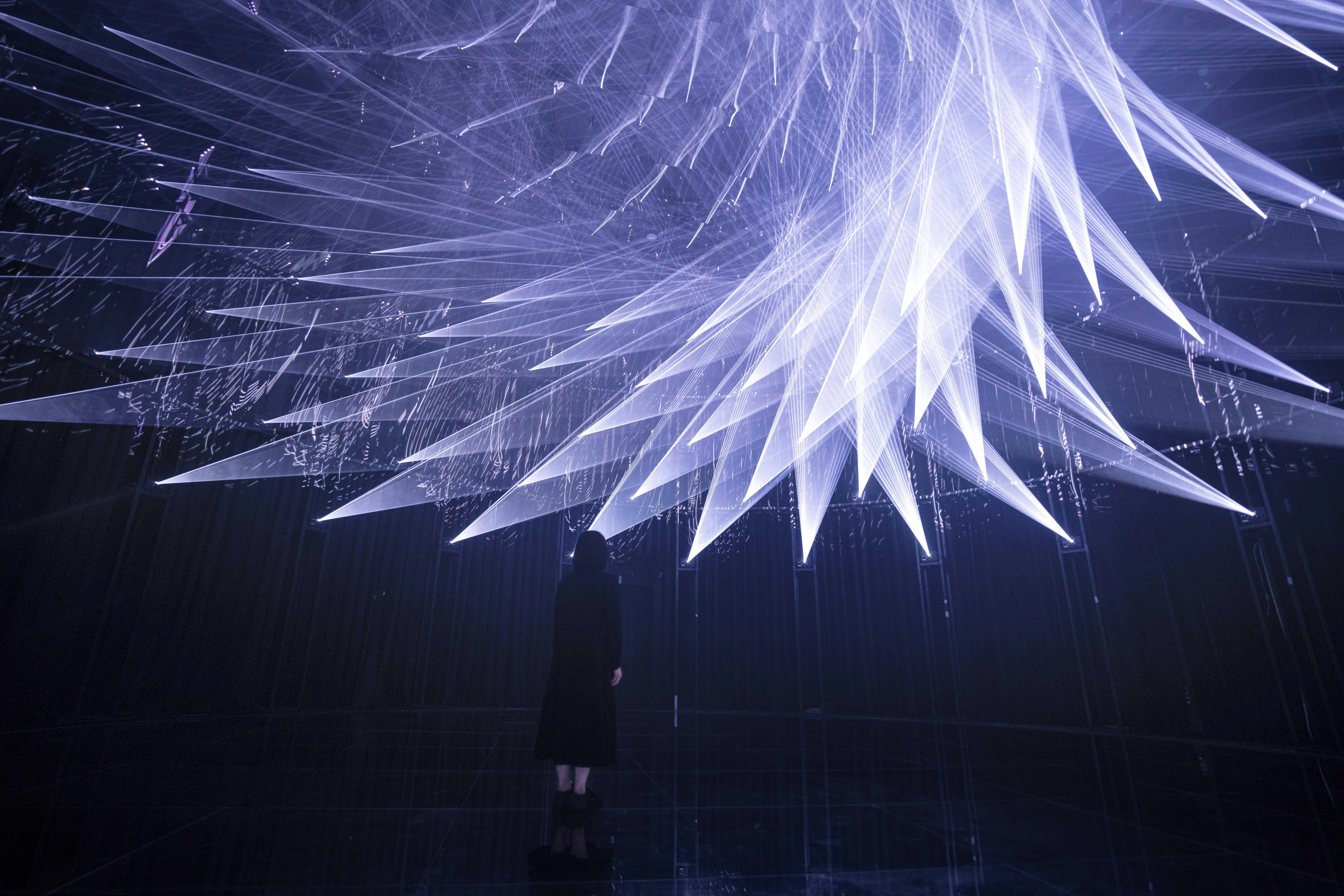 波纹 / Moire | teamLab