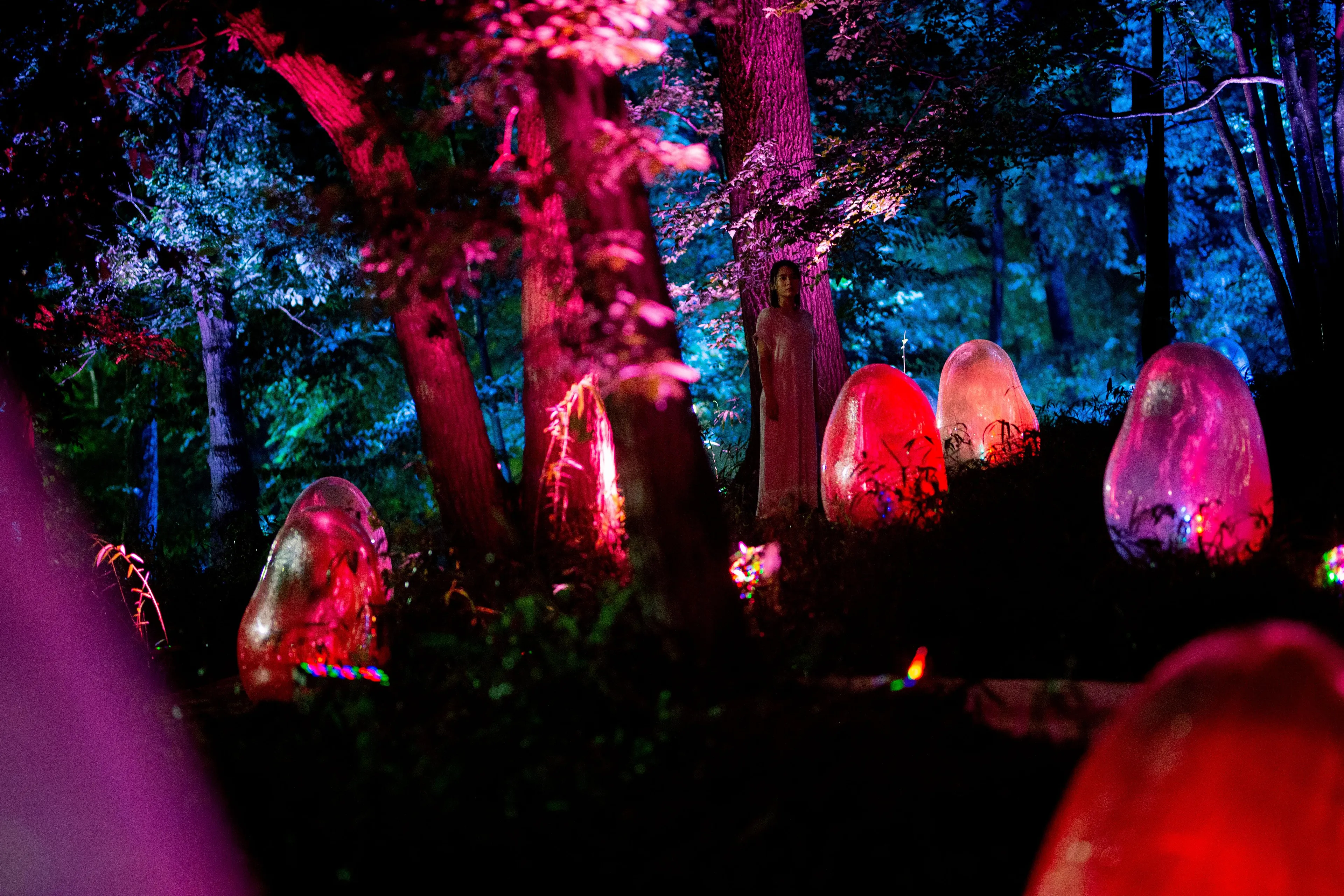 Resonating Trees | teamLab