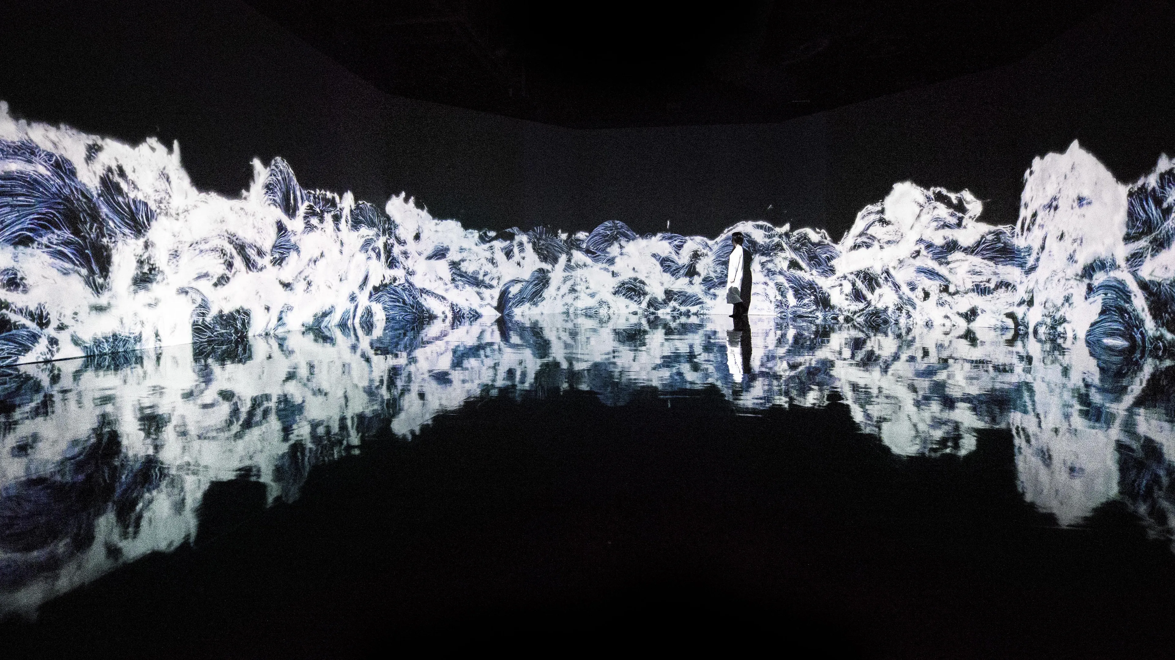 teamLab Borderless 东京 官方网站: 森大厦数字艺术美术馆：teamLab无界（MORI Building DIGITAL ...