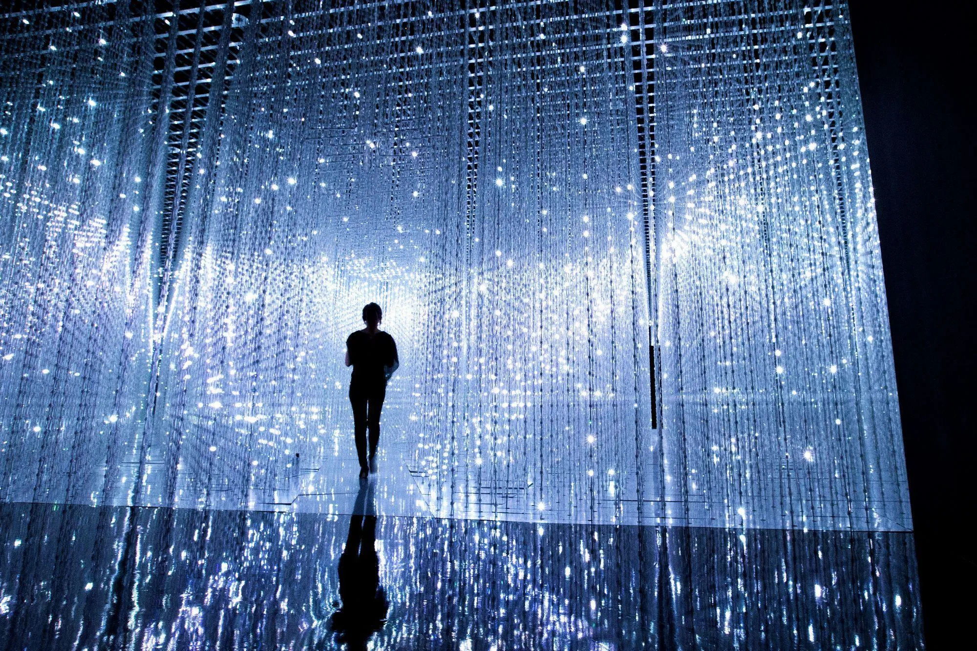 teamLab Islands Dance! Art Museum and Learn & Play! Future Parks in ...