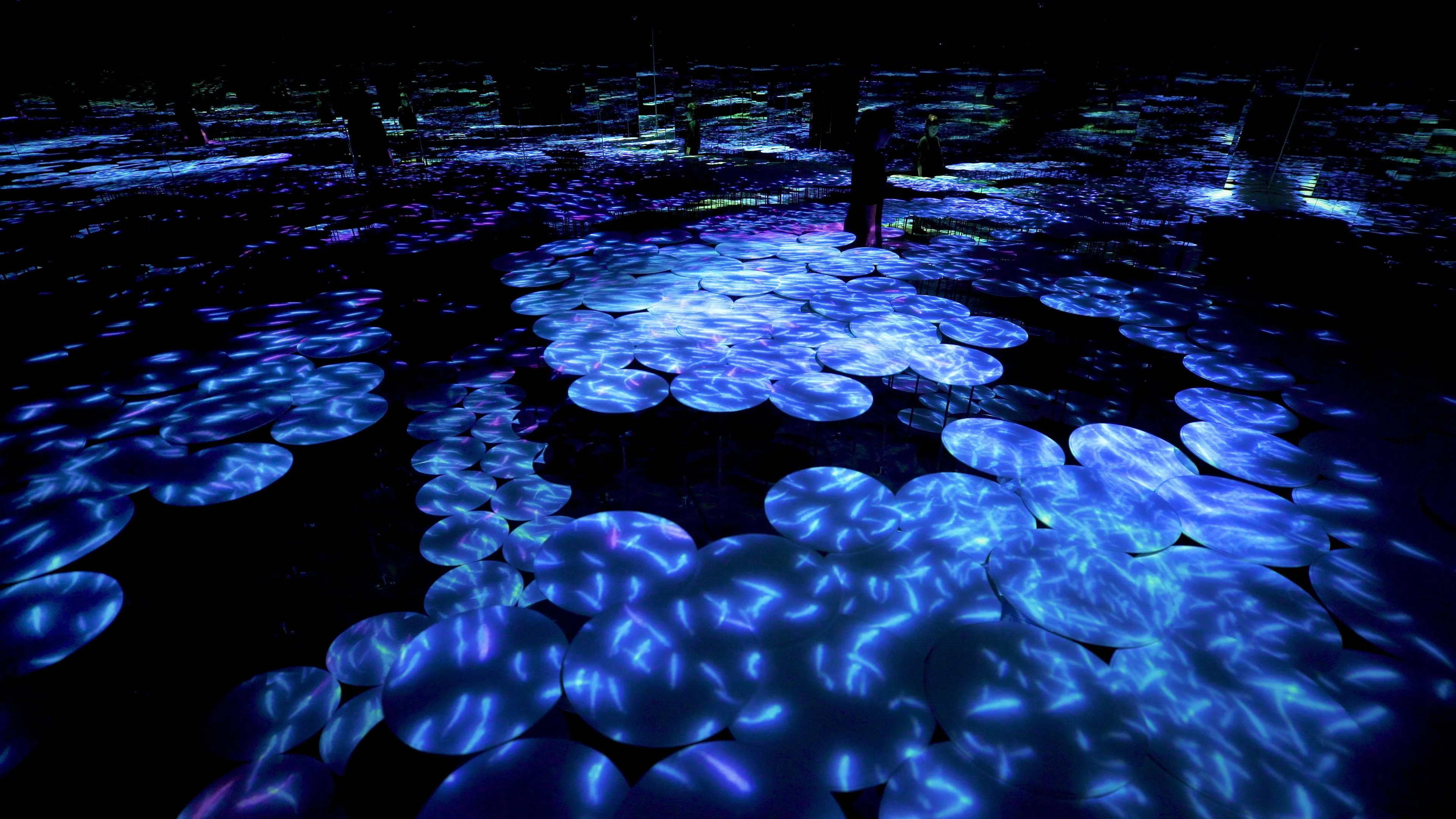 The Way of the Sea in the Memory of Topography - Colors of Life | teamLab