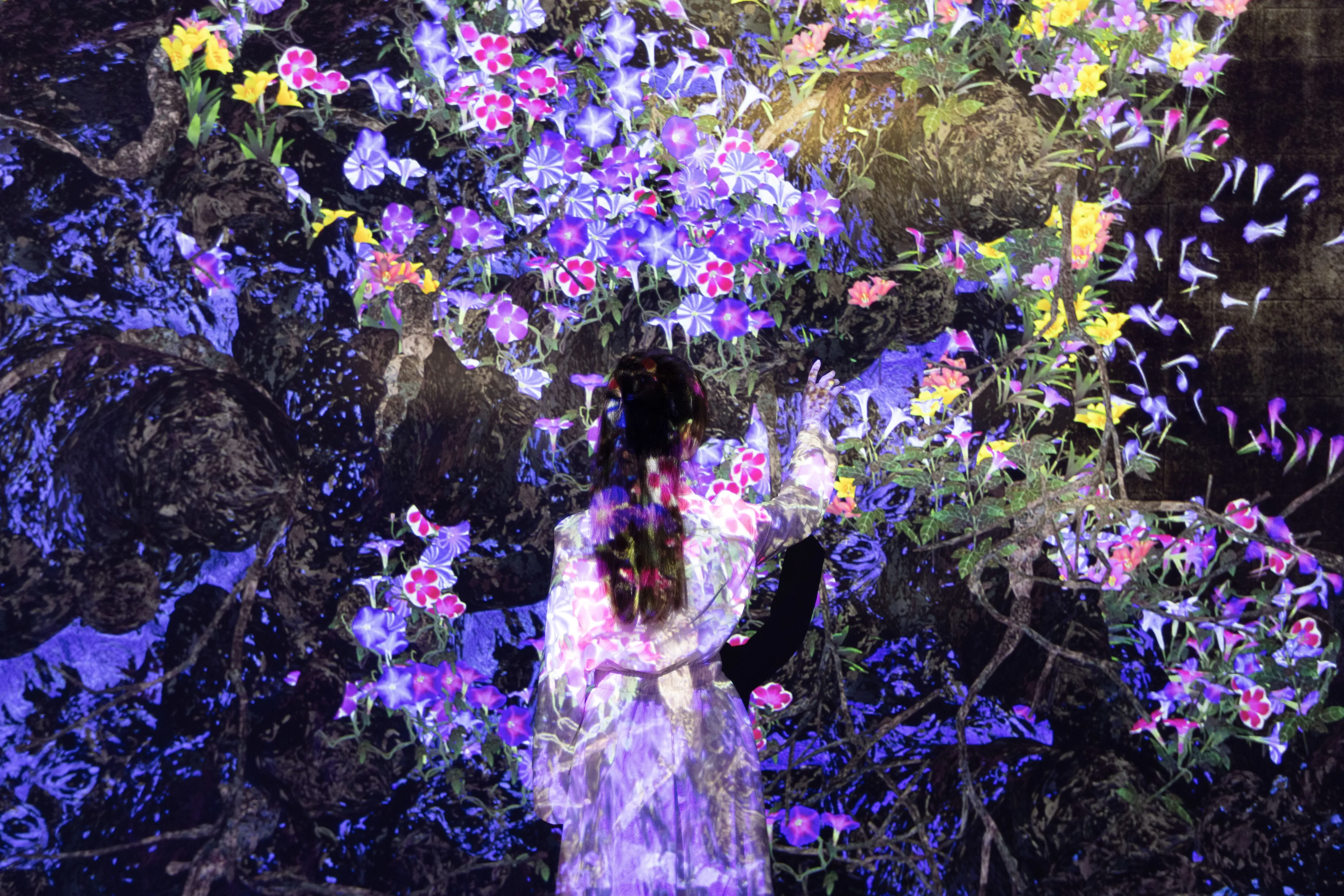 生死无尽此刻永恒 | teamLab