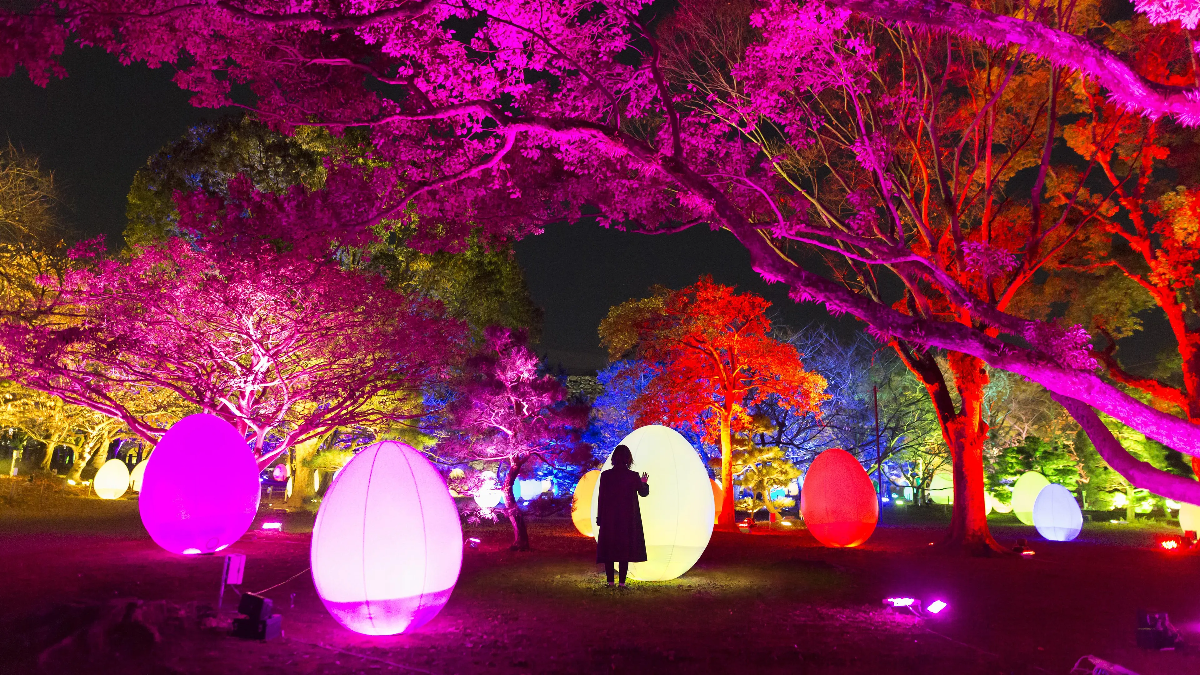 Autonomous Resonating Life and Resonating Trees | teamLab