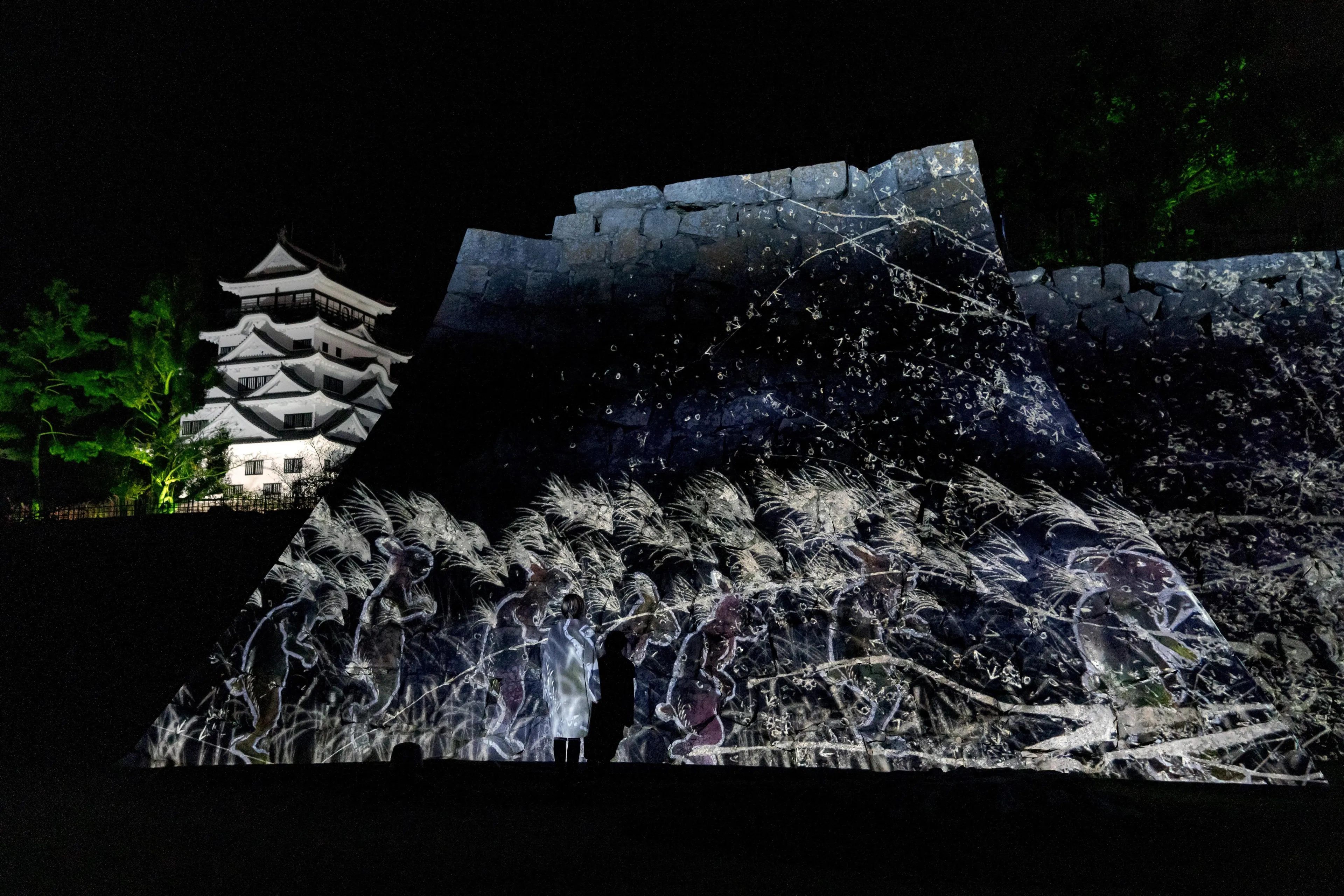 teamLab: Digitized Fukuyama Castle | teamLab
