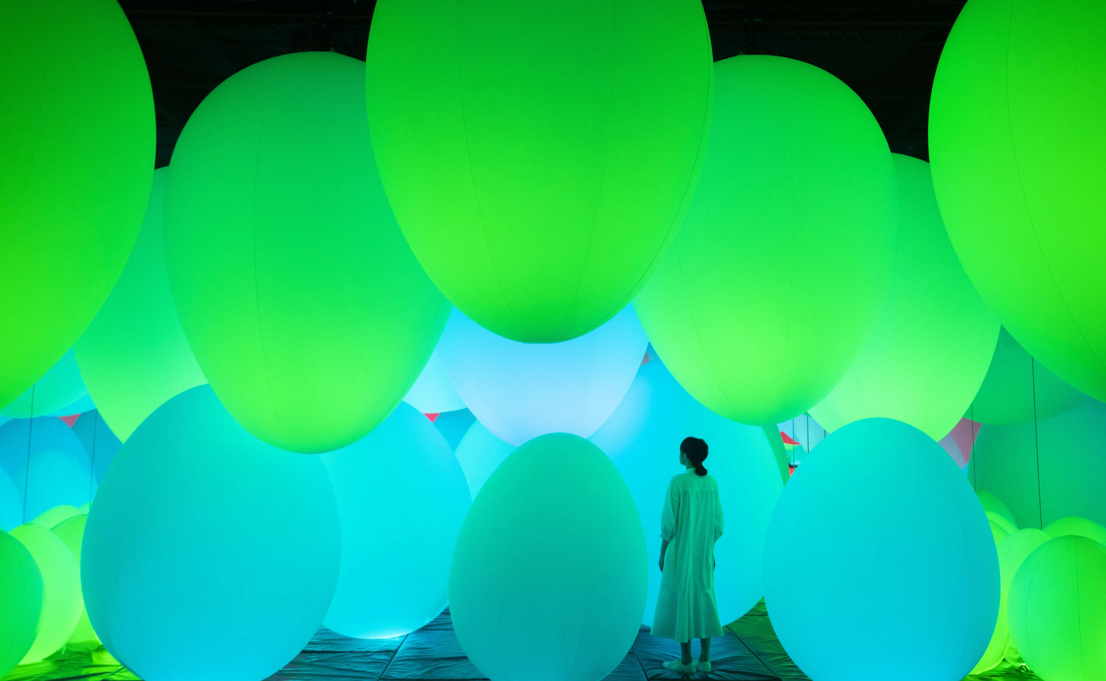 呼応する生命の森 / Forest of Resonating Life | teamLab / チームラボ