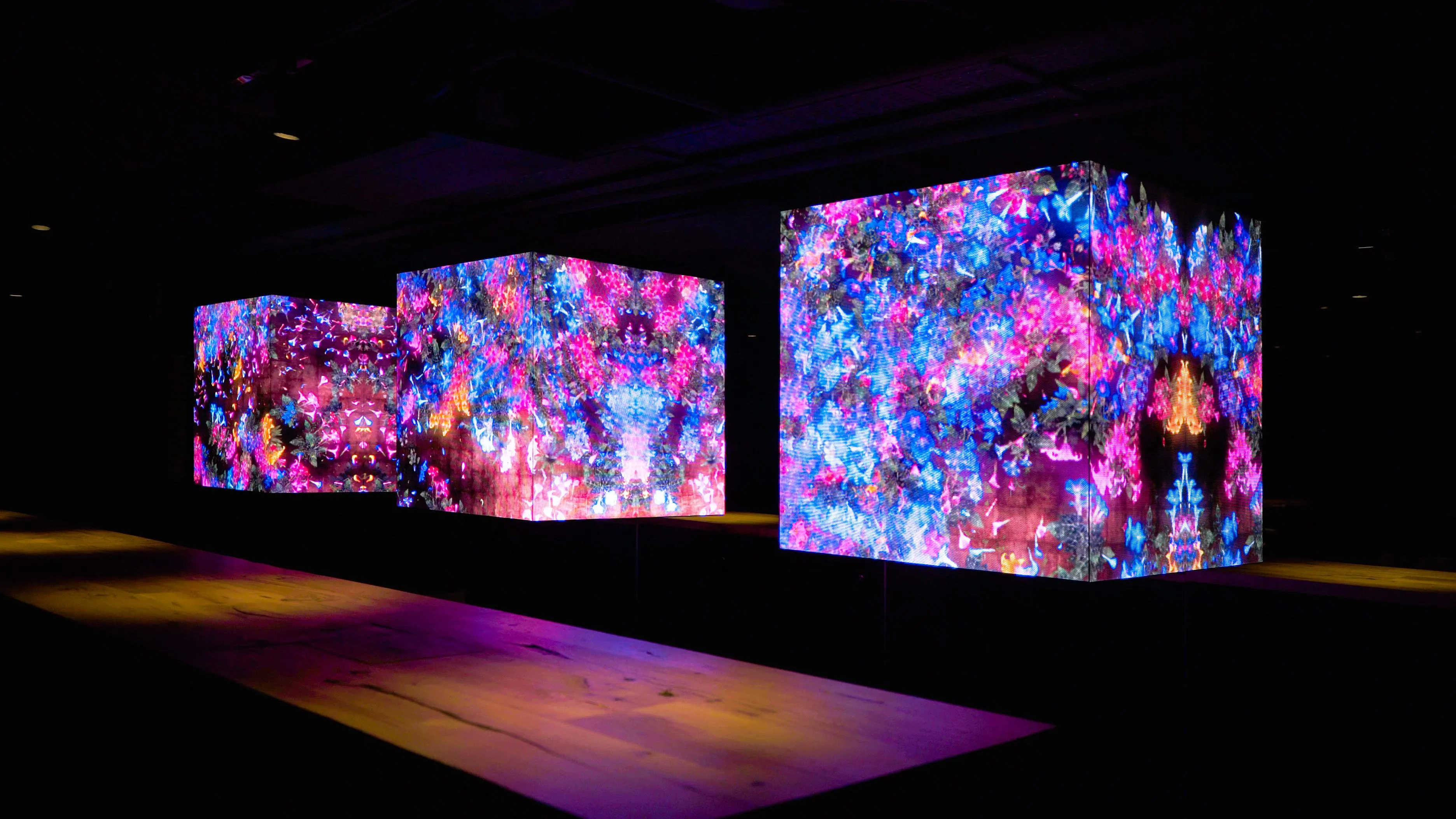 Continuous Life in Cubes of Light - Copper | teamLab