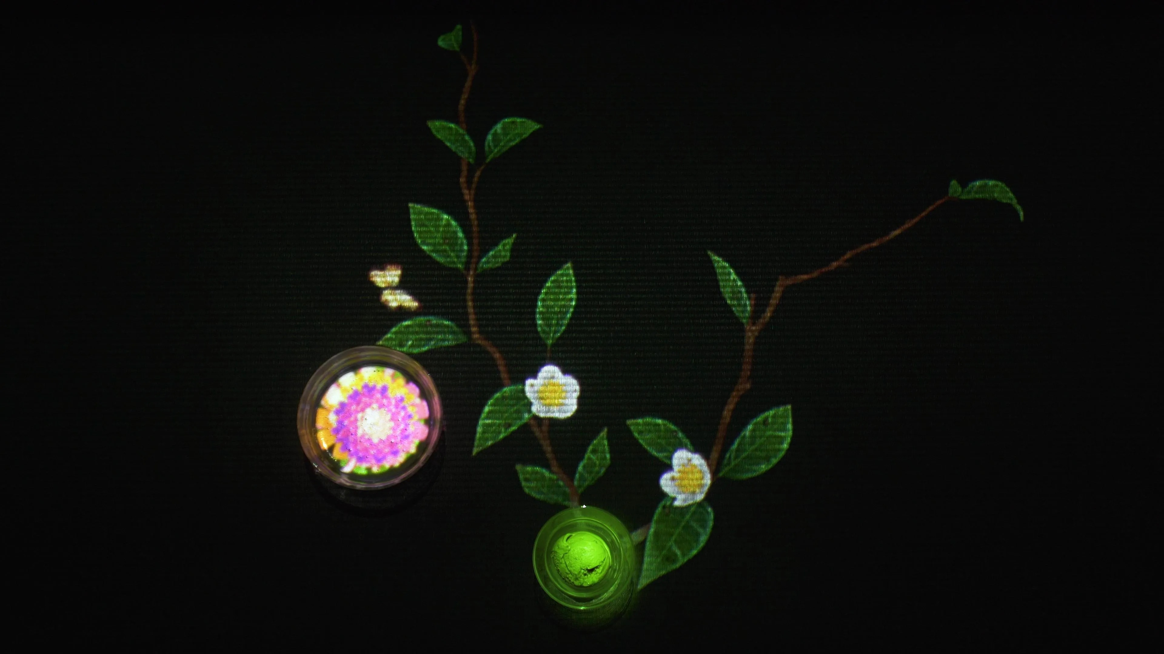 Tea Tree | teamLab