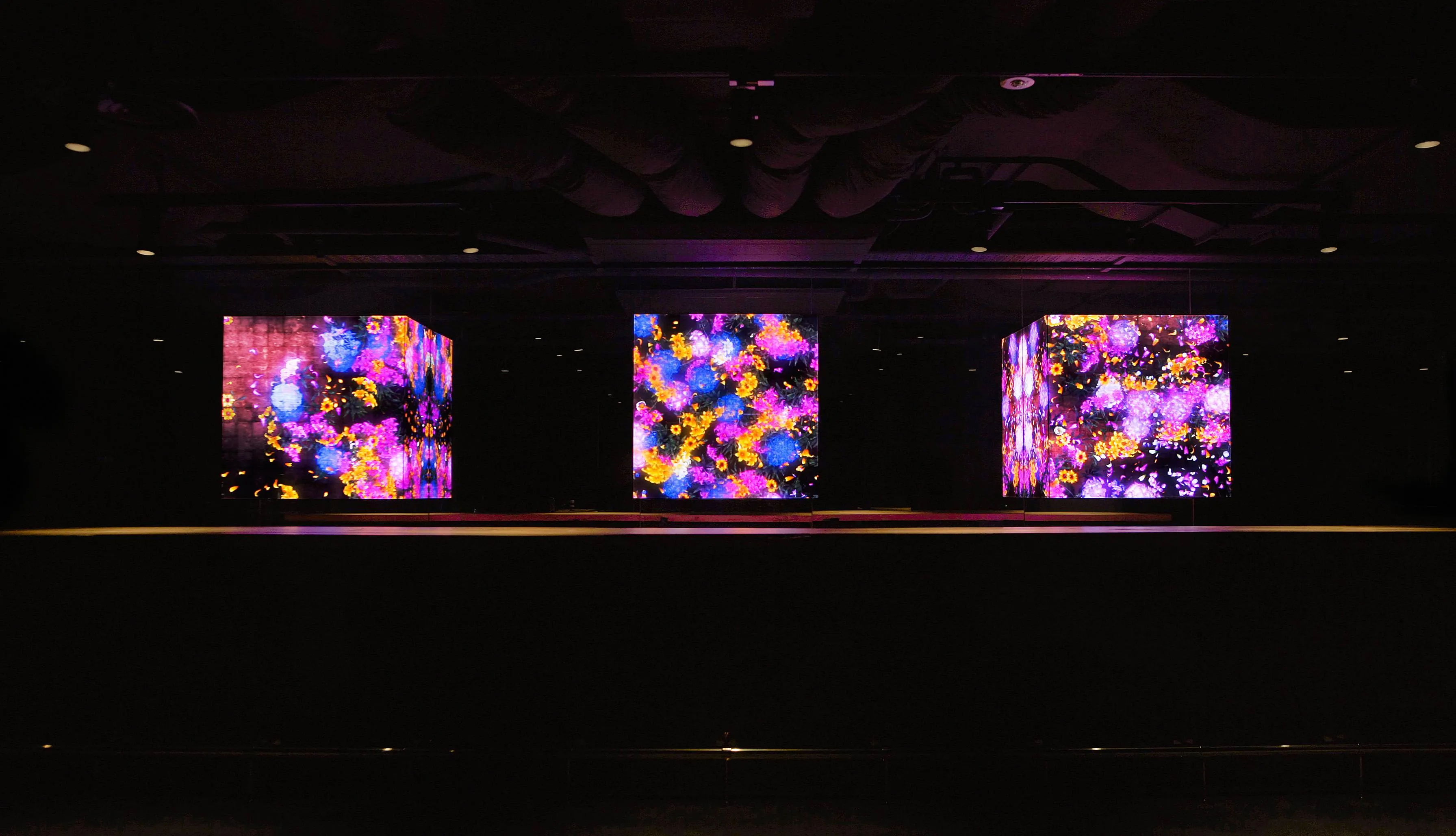 Continuous Life in Cubes of Light - Copper | teamLab