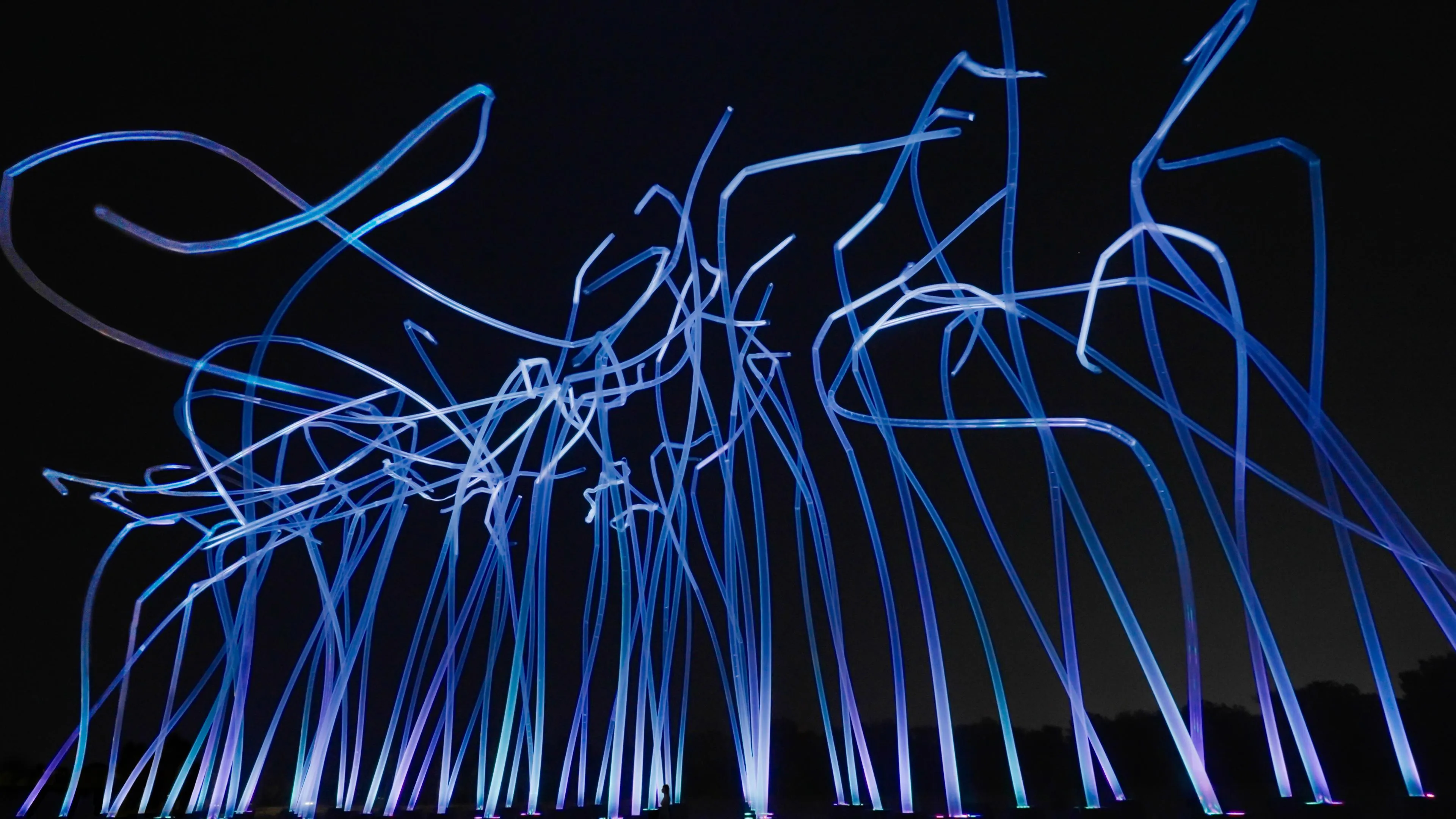与风共舞的柱群 / Pillars that Dance with the Wind | teamLab