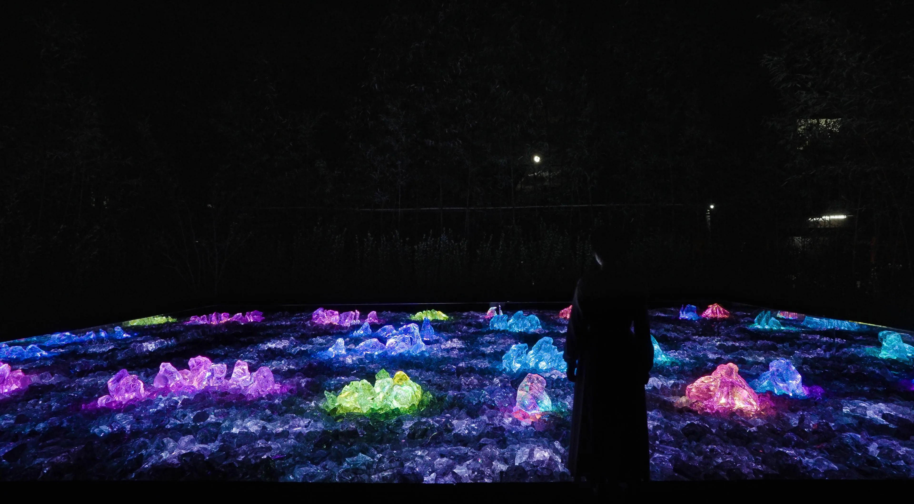 teamLab: Field of Wind, Rain and Sun | teamLab